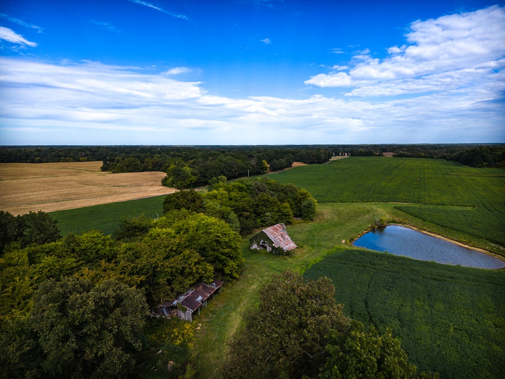 Ein kleines Haus auf der grünen Wiese