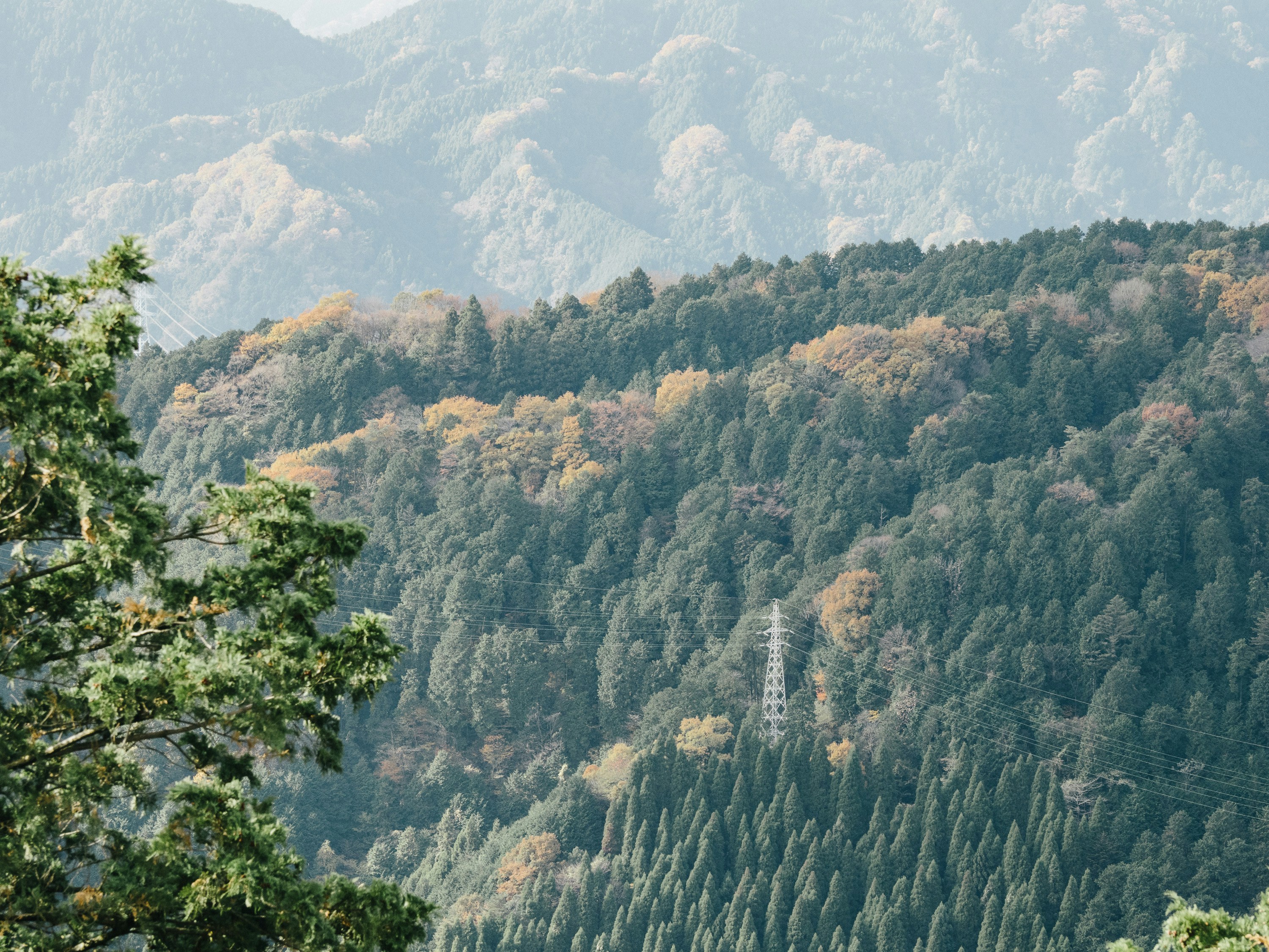 Photo by ultratunafish