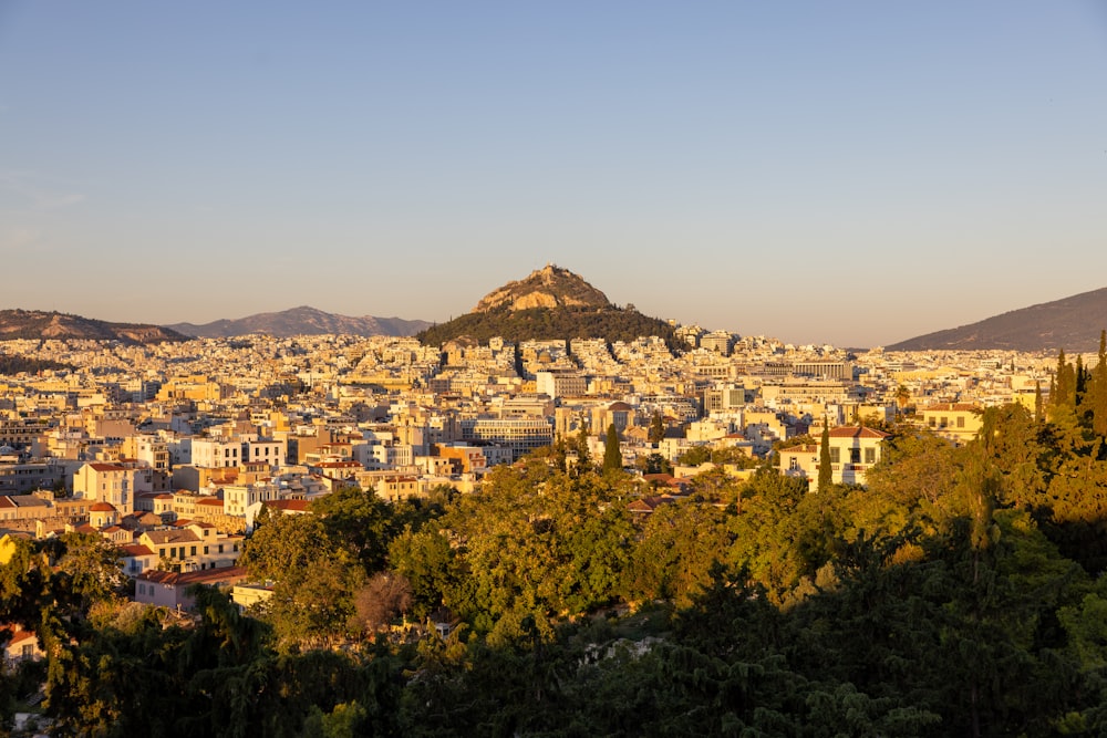 a city with trees and a mountain in the background