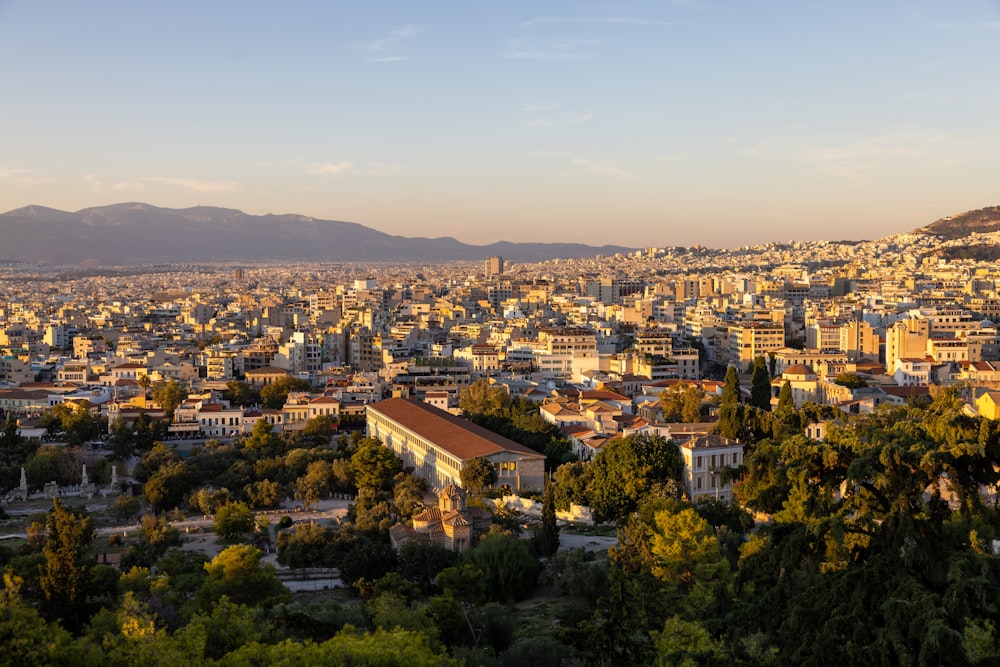 a city with many trees and buildings