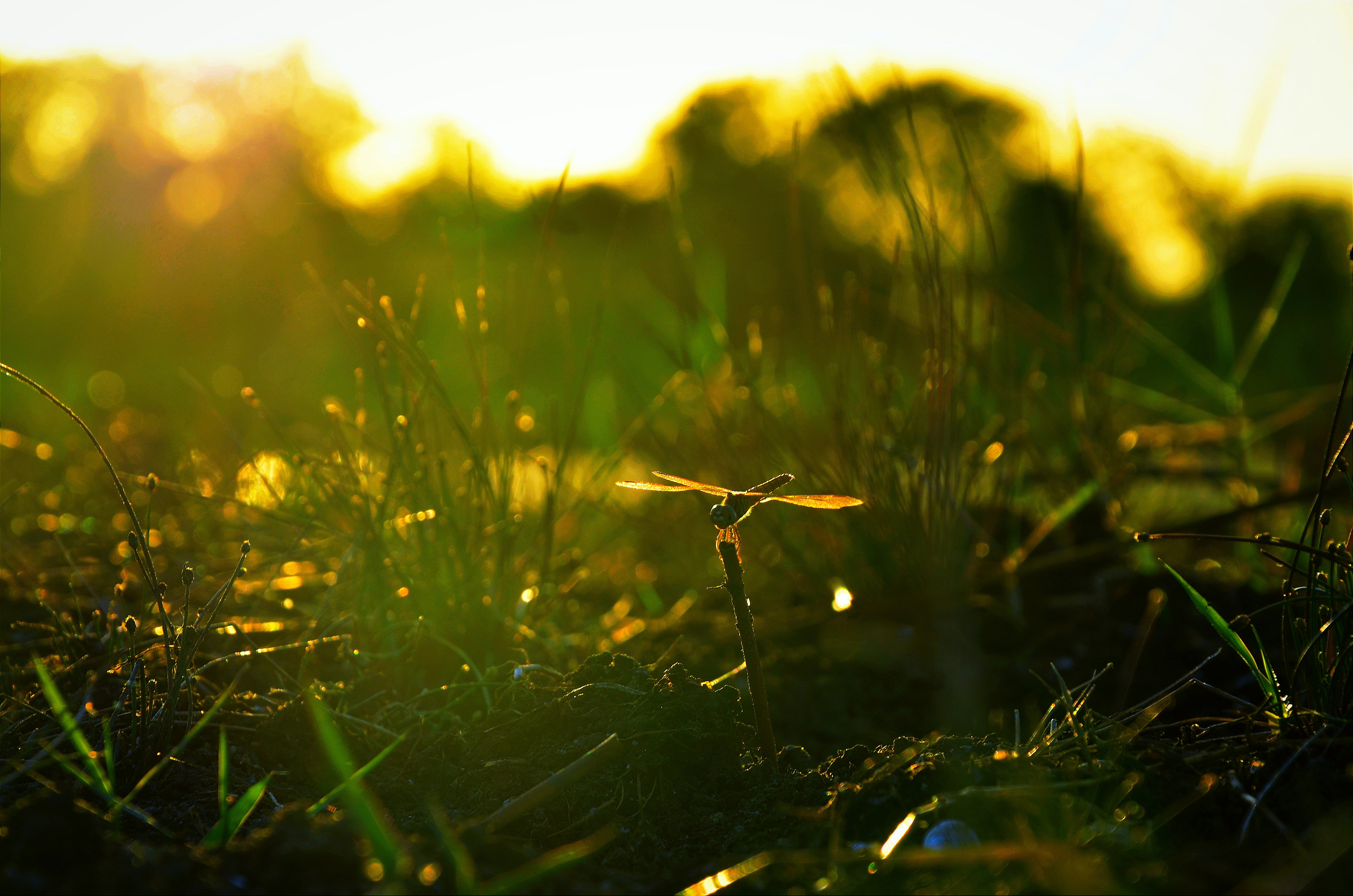 Photo by _the_chinuuu_