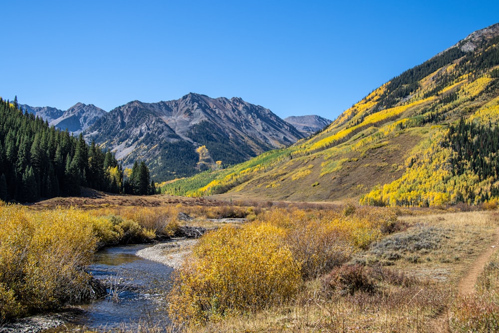 a river running through a valley