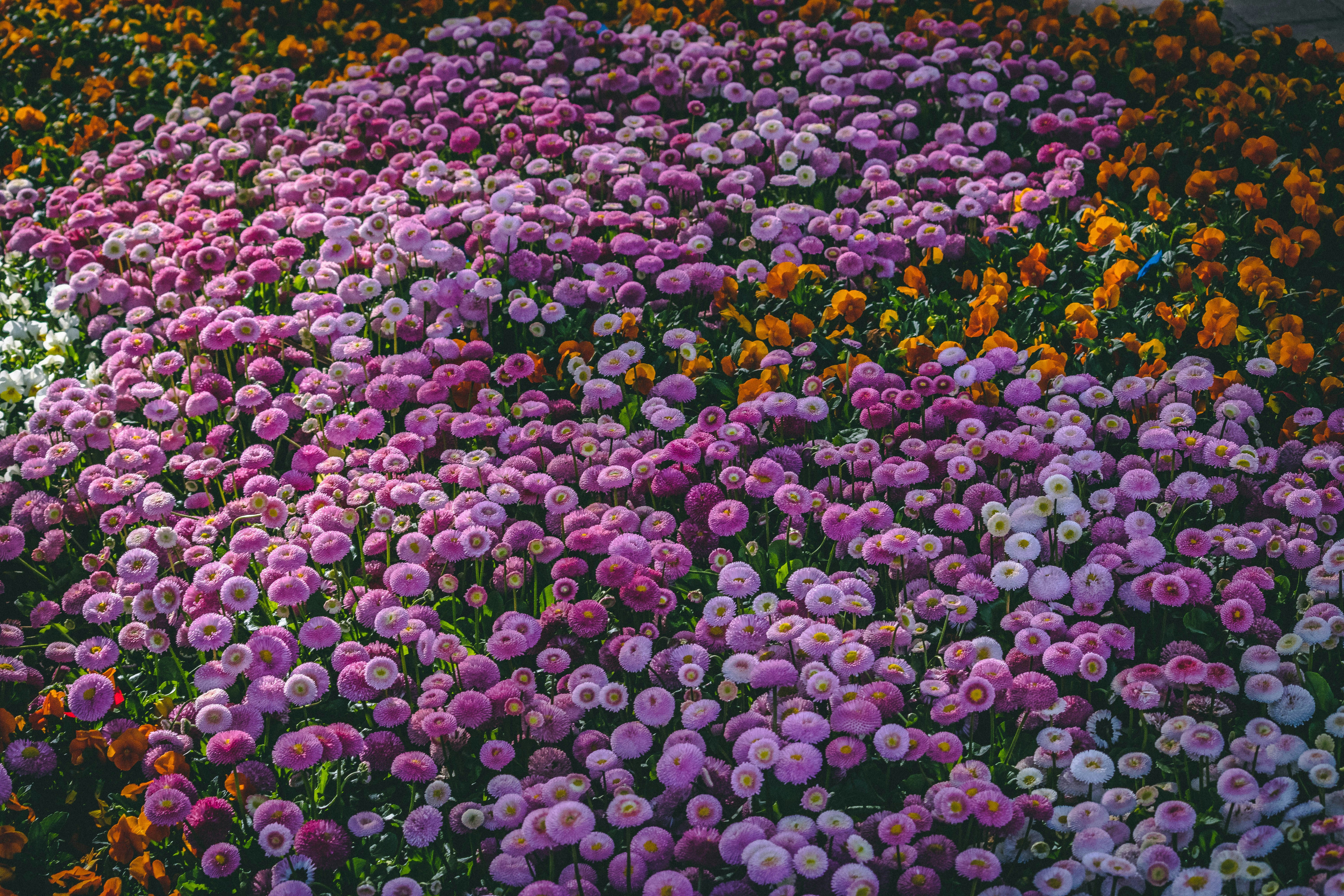 Photo by itaypeer