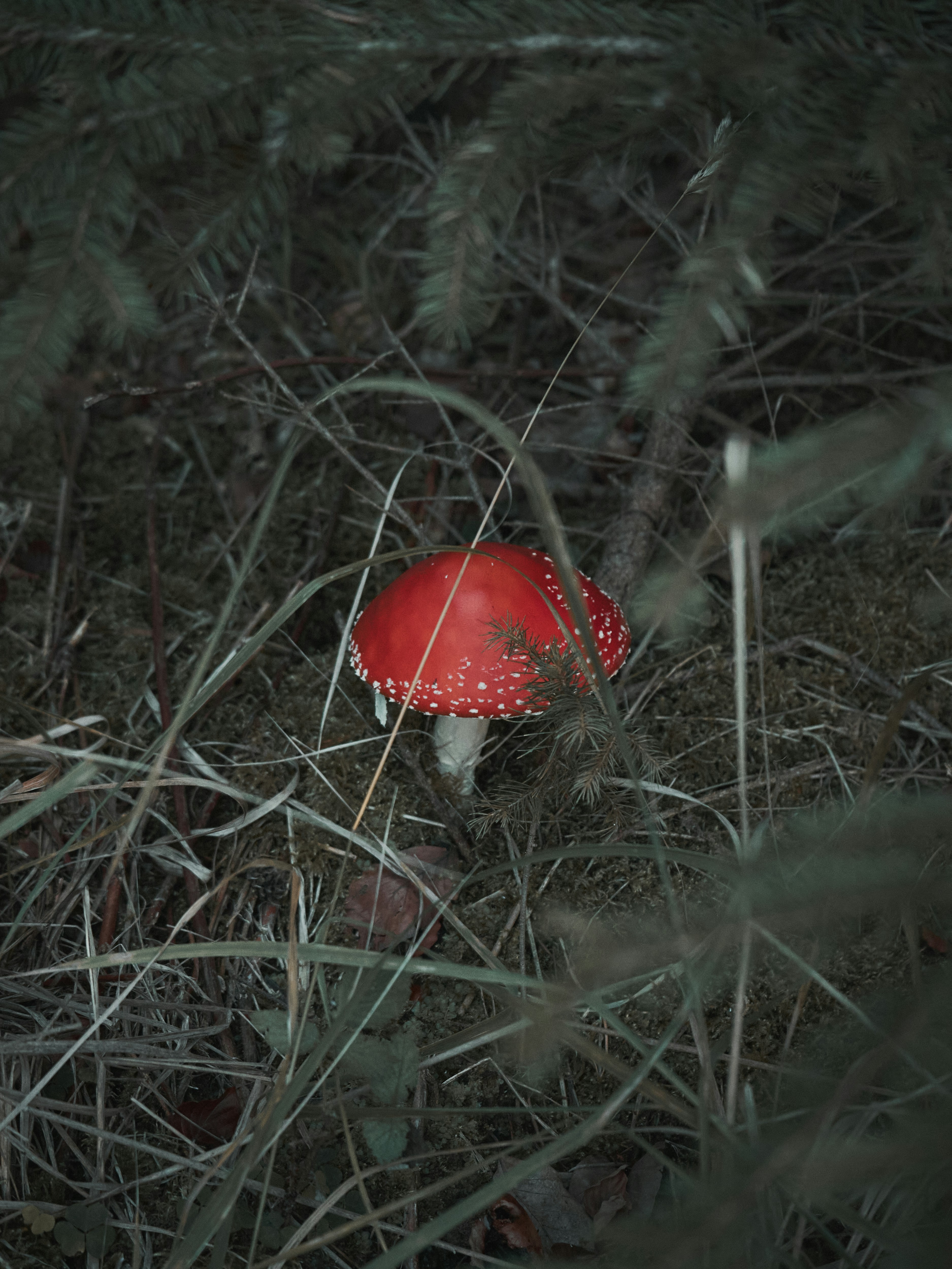 Photo by jkalina