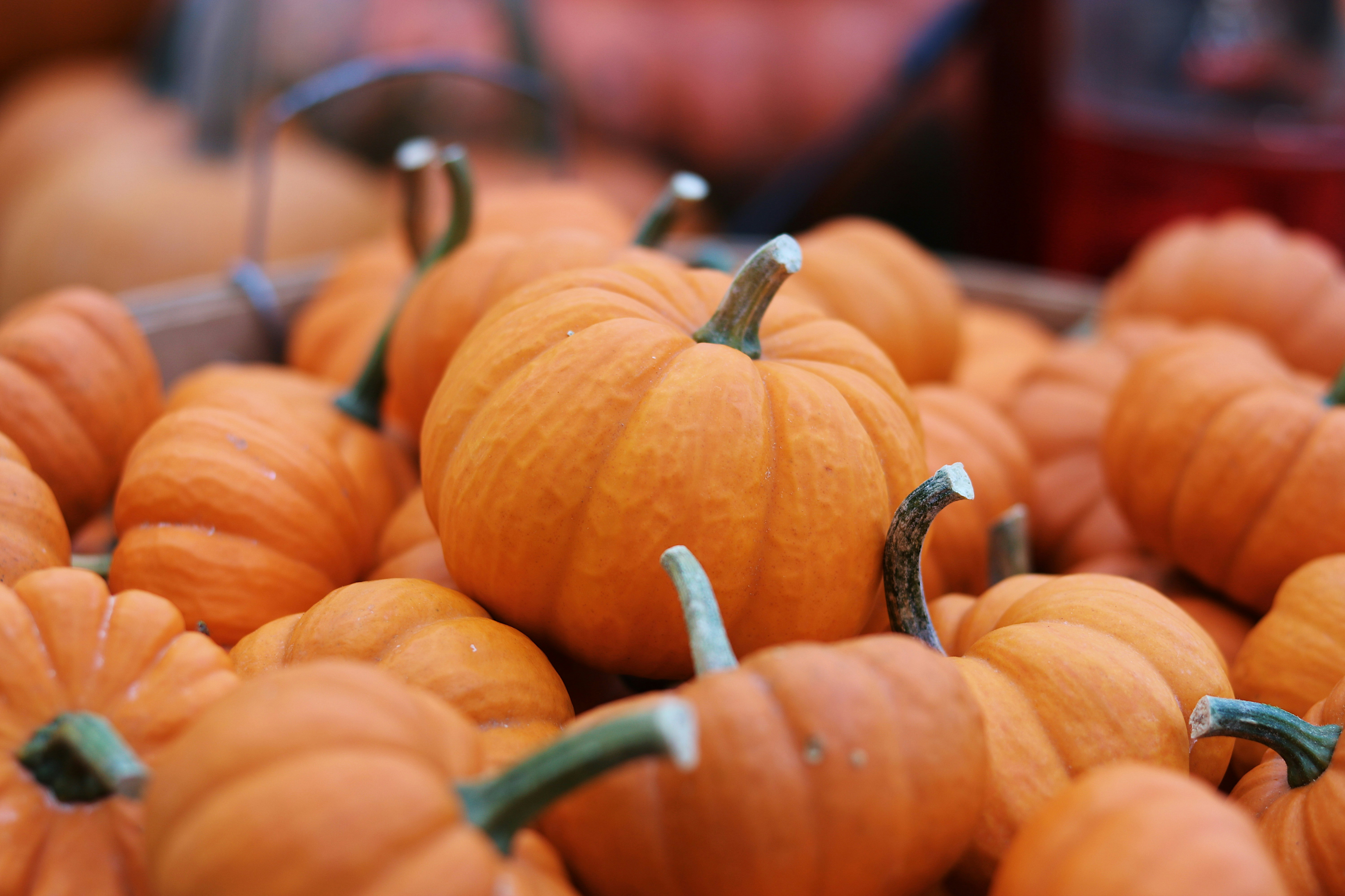 a group of oranges on a table