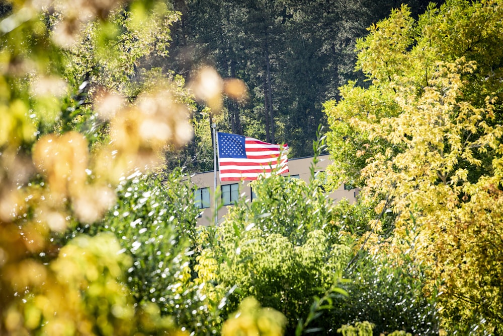 a flag on a pole surrounded by trees
