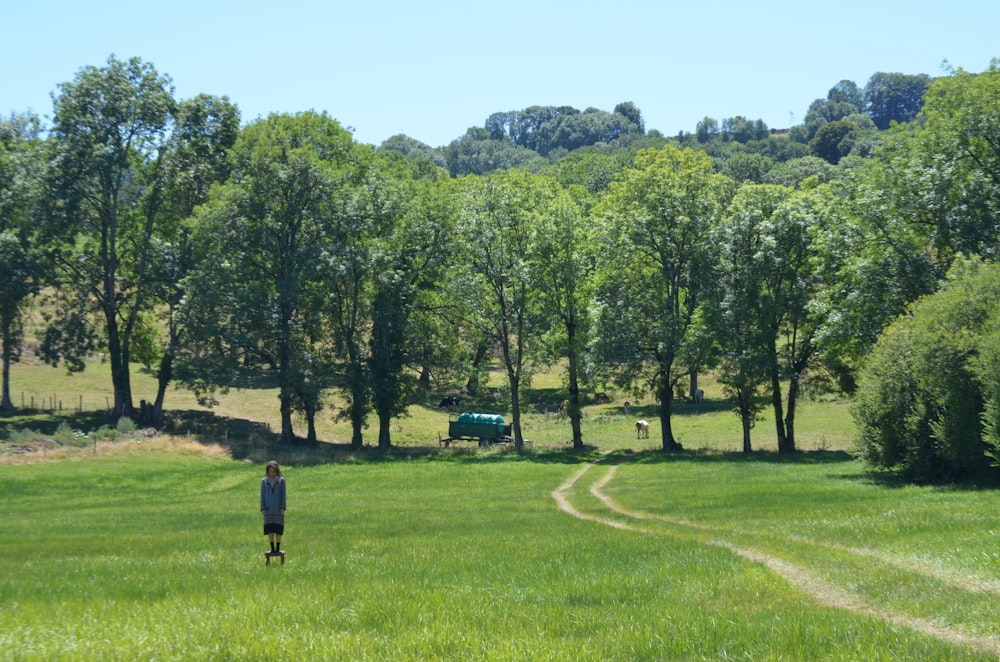 a person walking on a path in a park with trees