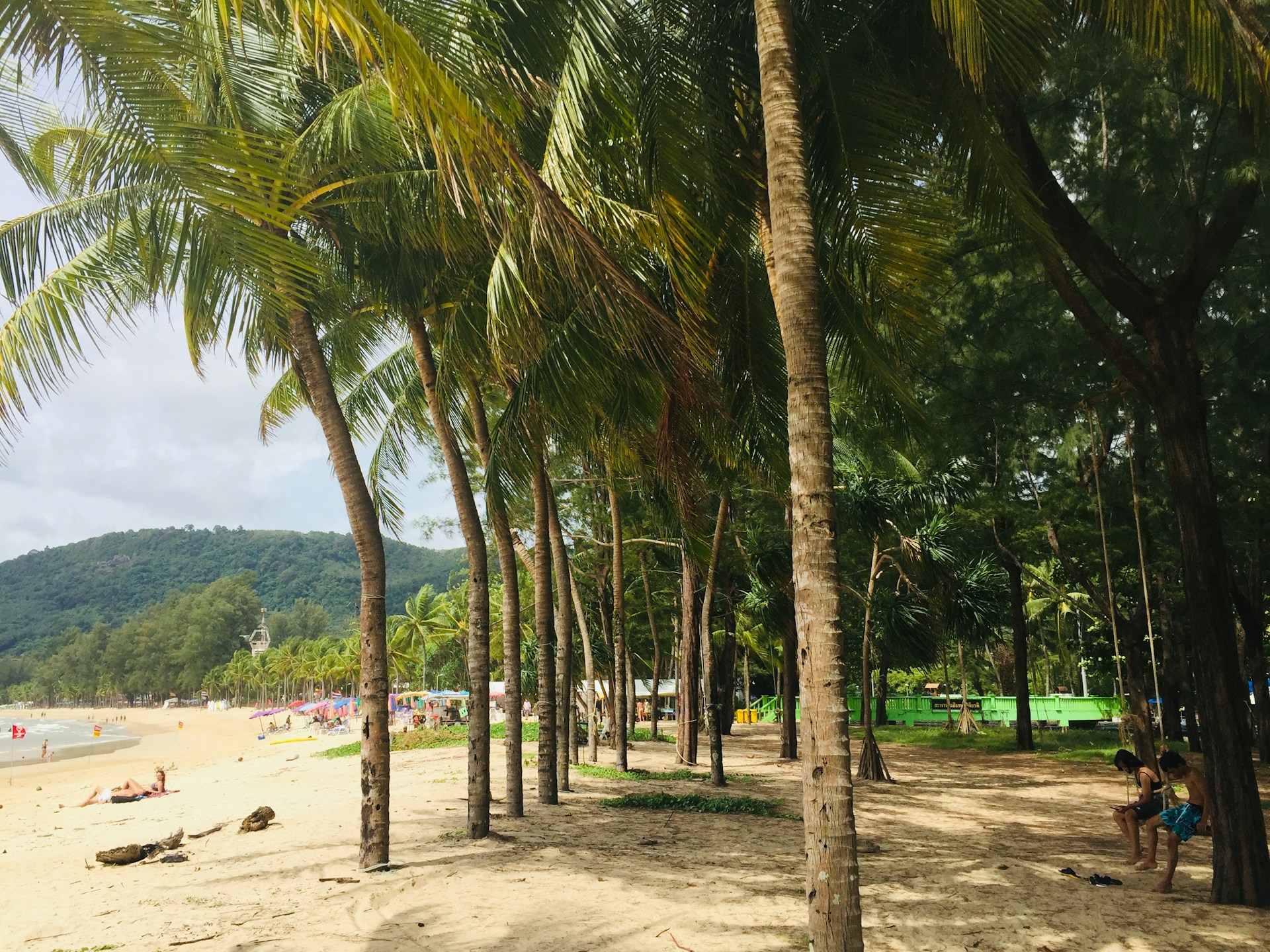 a beach with palm trees