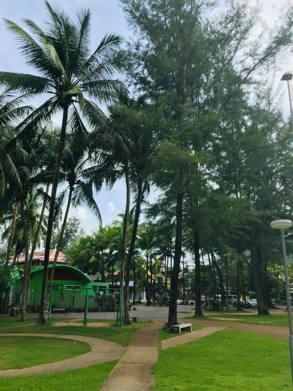 a park with palm trees