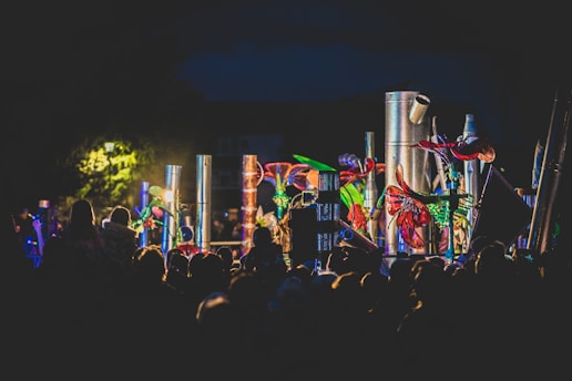 a crowd of people at a concert