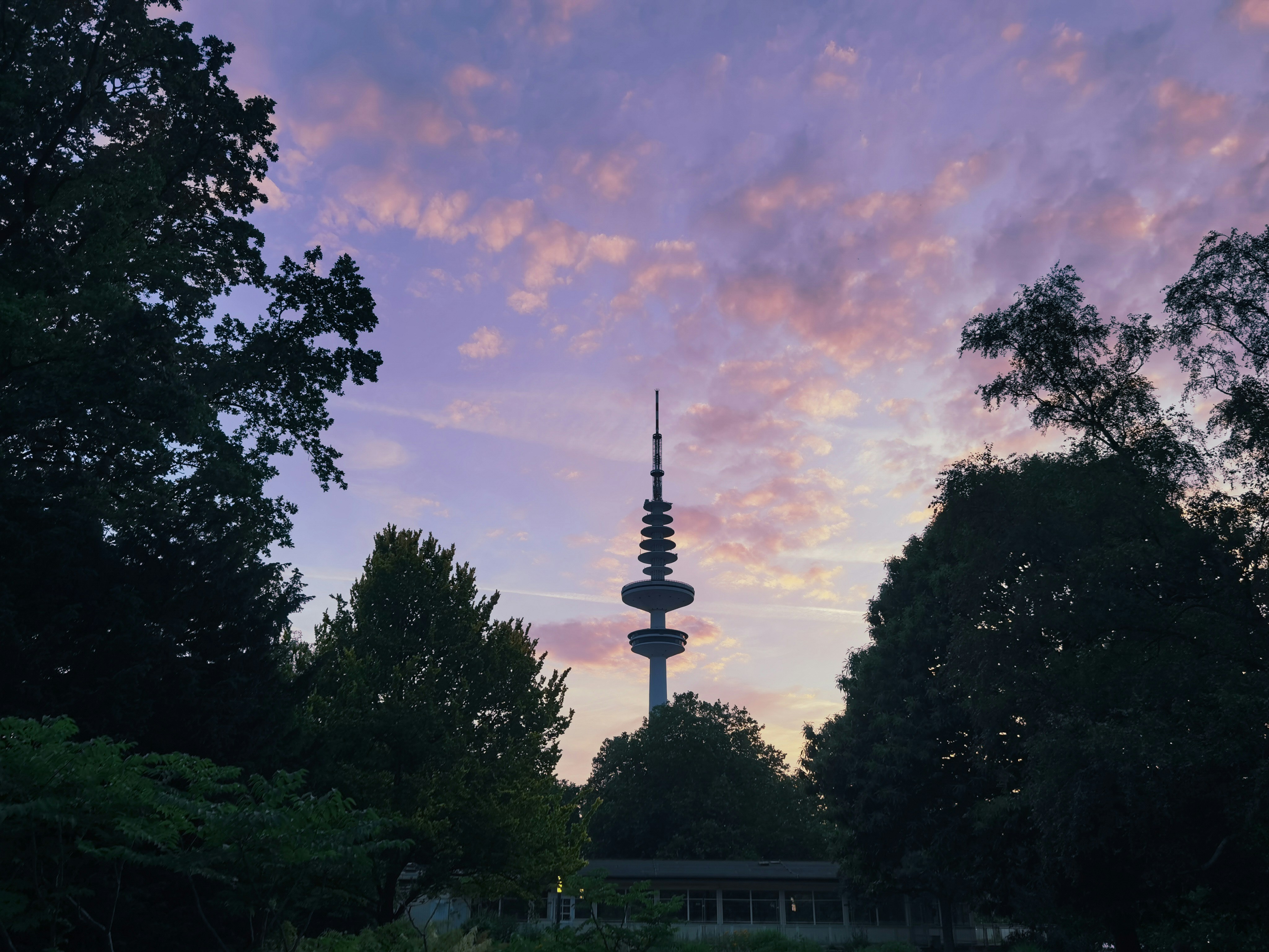 una-torre-alta-con-rboles-a-su-alrededor-foto-imagen-de-arquitectura