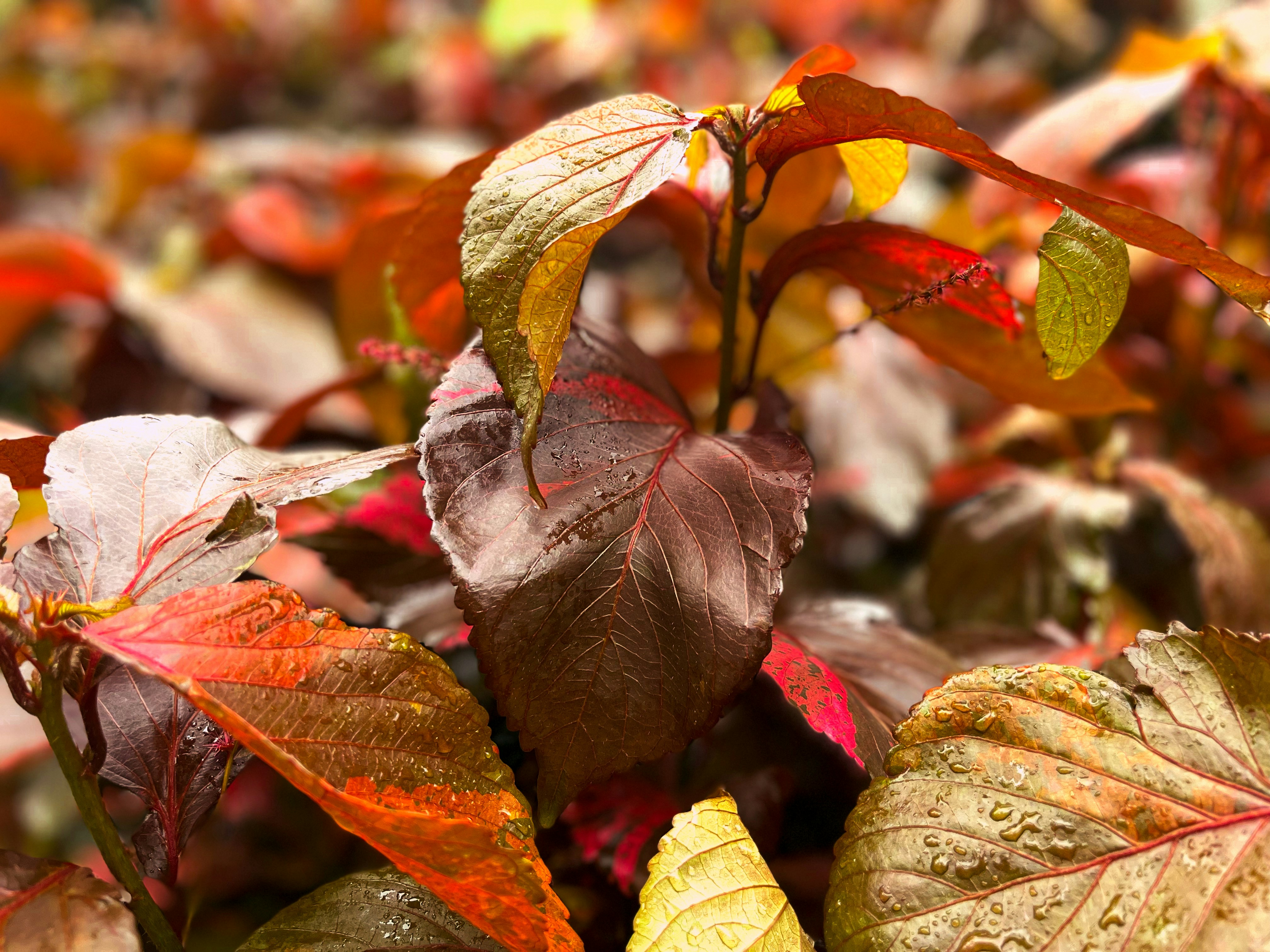 Photo by asvisual_narrator