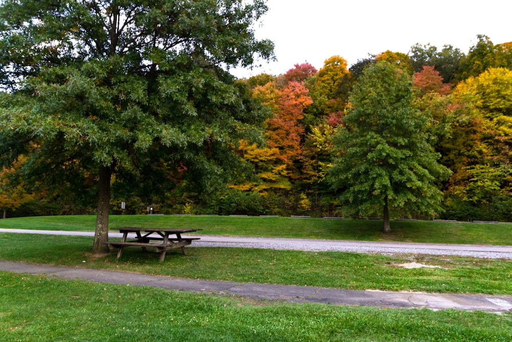 a park with a bench