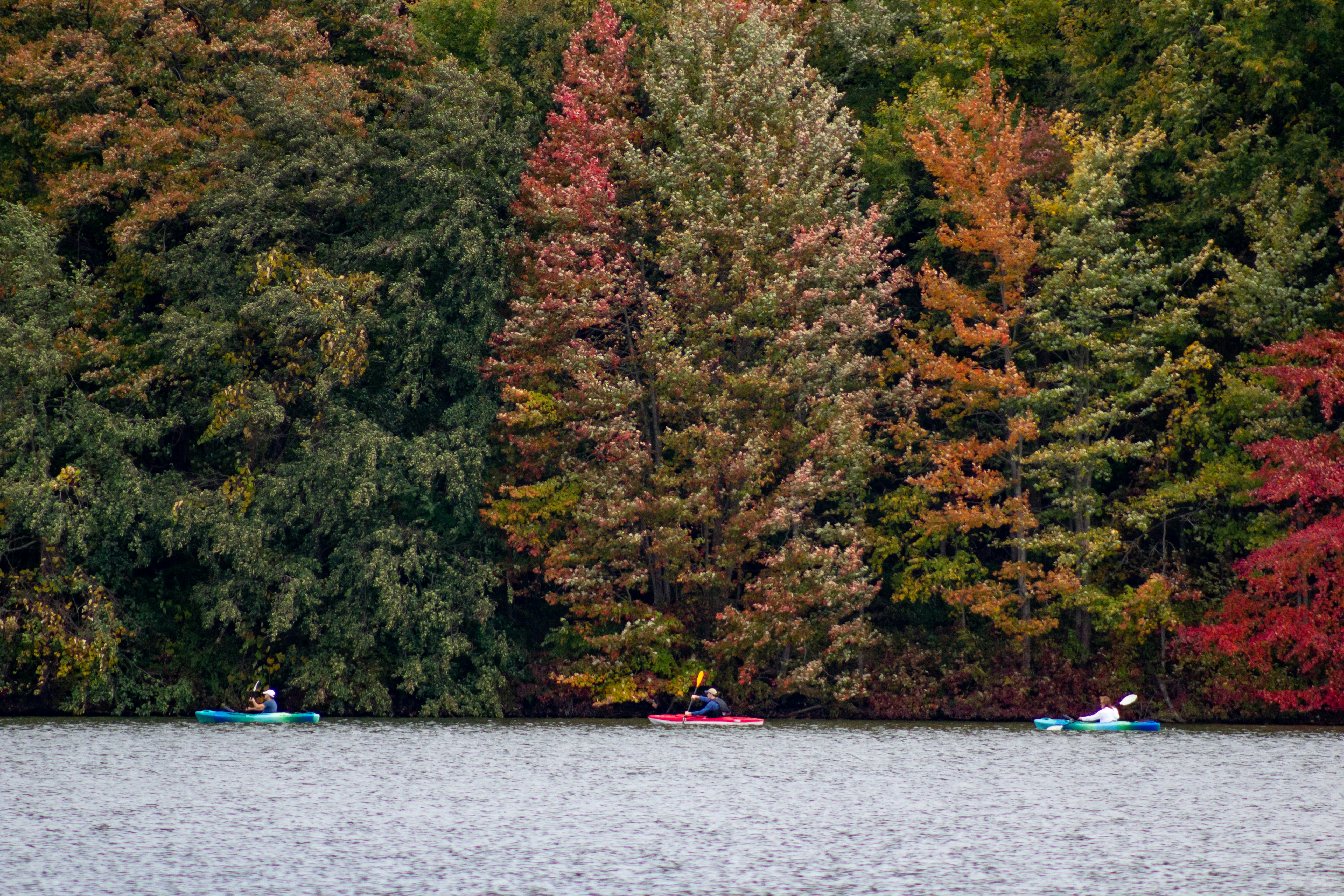 a group of people in boats on a lake surrounded by trees