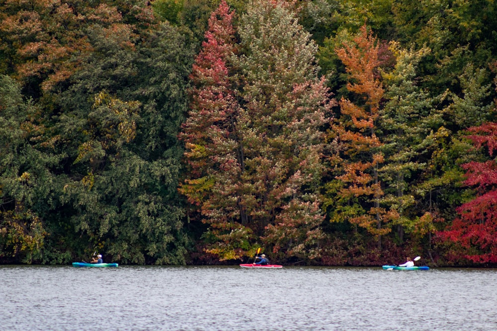 a group of people in boats on a lake surrounded by trees