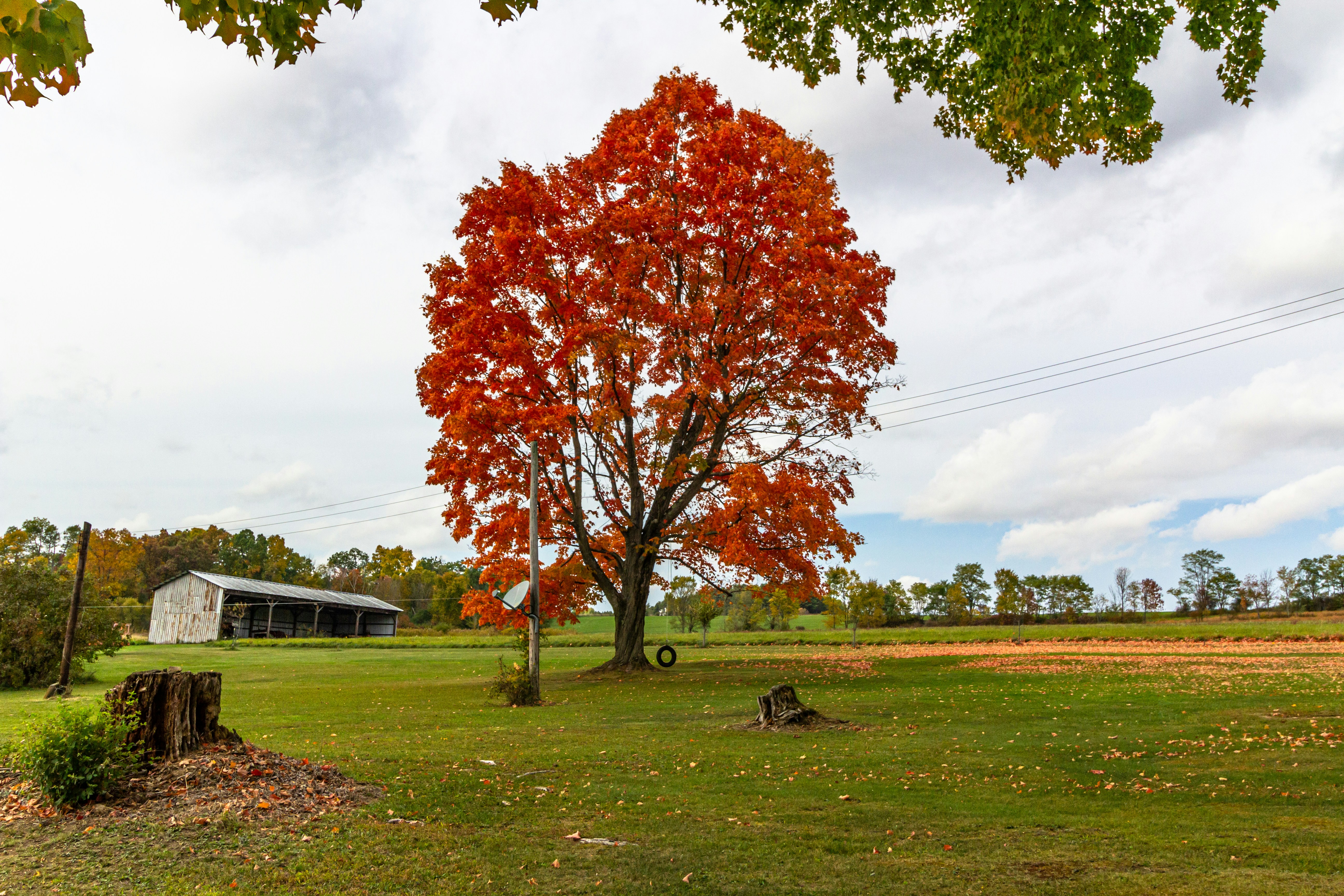 Photo by gautamkrishnan