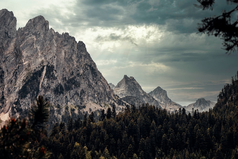 a mountain range with trees