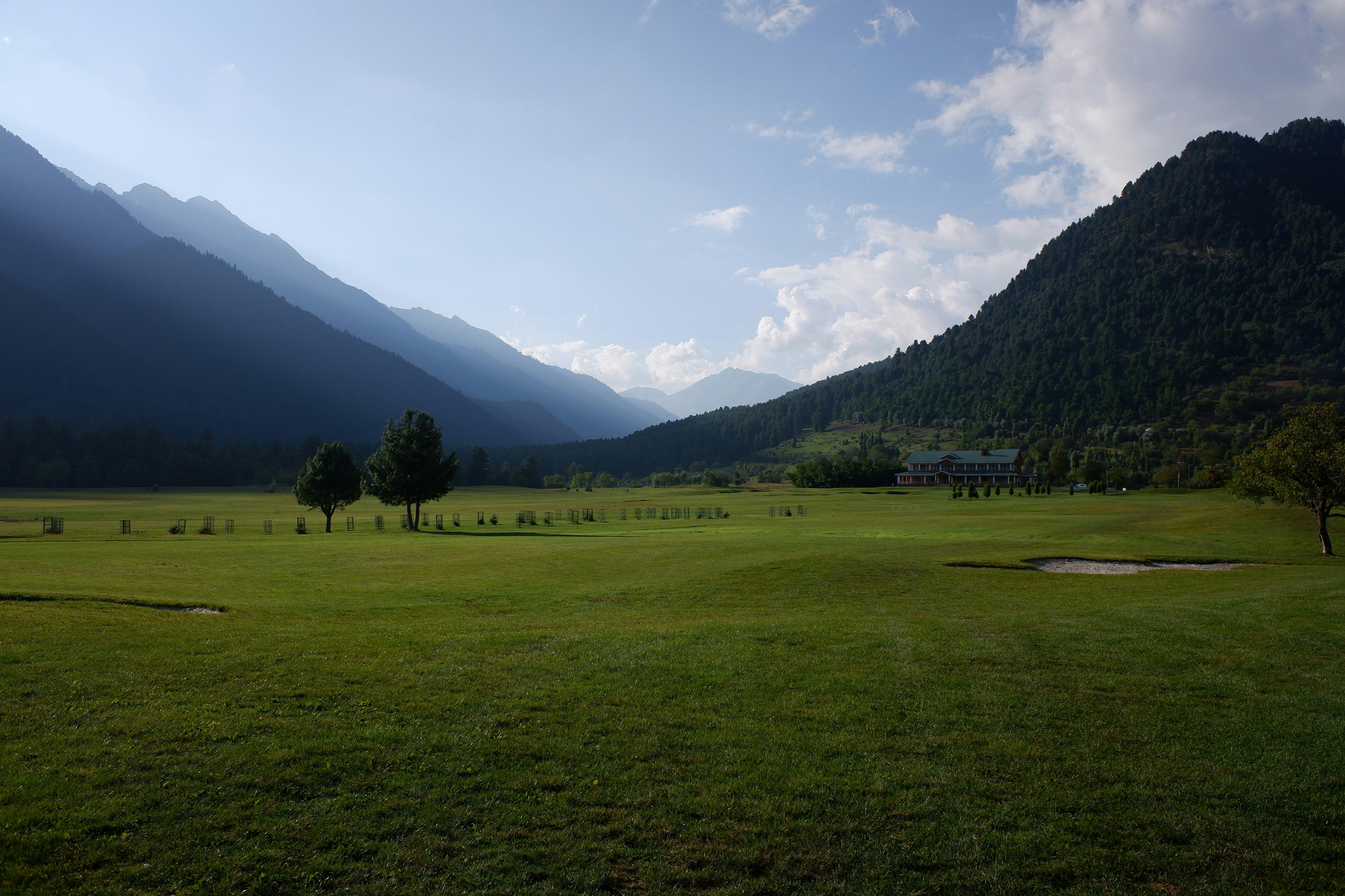 a grassy field with trees and mountains in the background, 