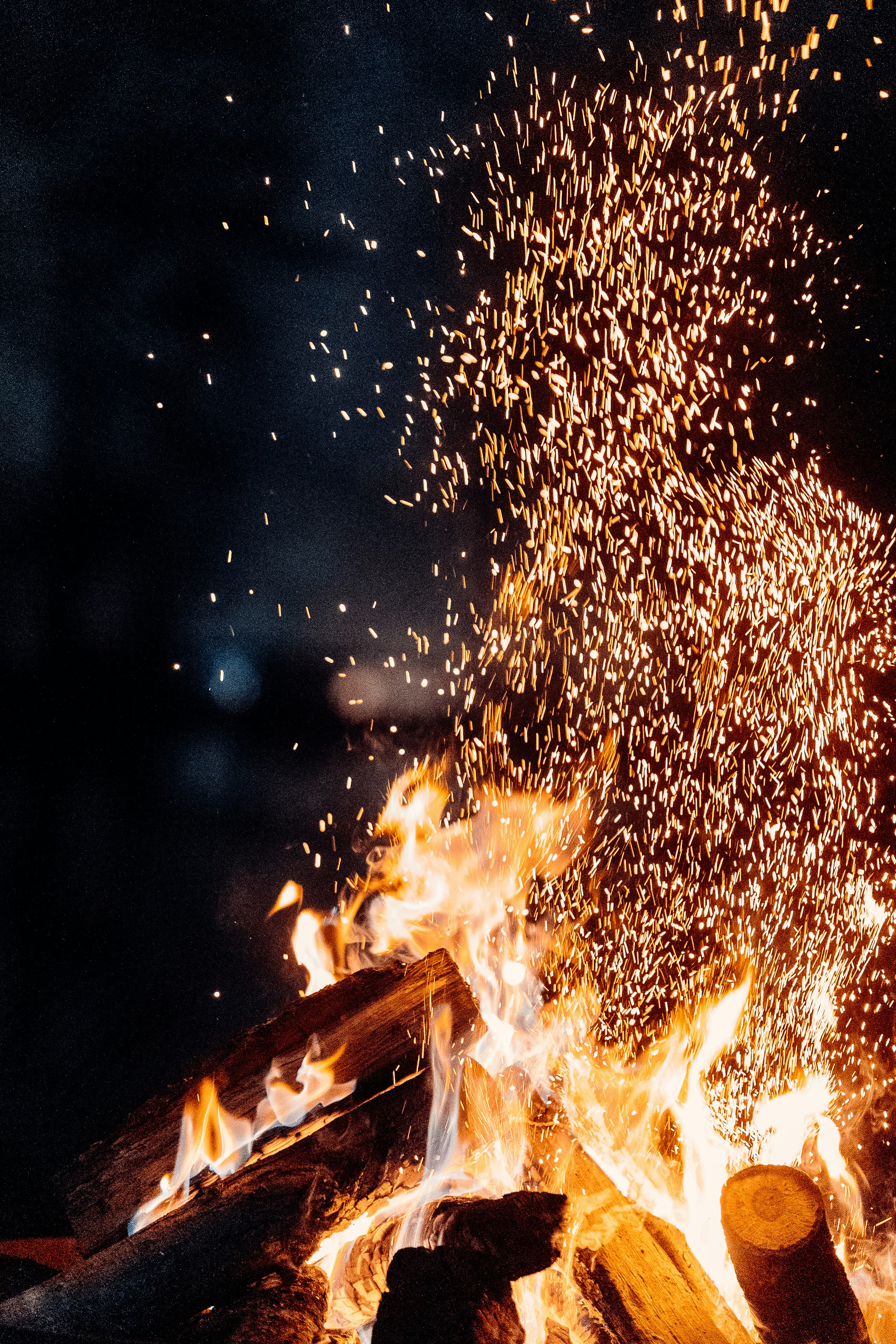 Photo by philipweyer