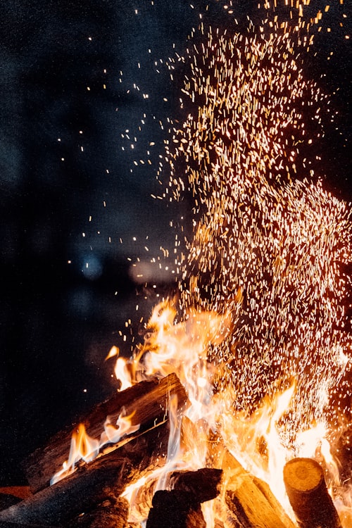 Lohri & Vaisakhi