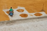 A person is working outdoors, spreading and drying grains on a large concrete surface. The individual is wearing a green shirt and blue plaid clothing, and is pushing a wheeled cart. There are neatly arranged piles of grains spread out over white rectangular areas. A rake is positioned upright nearby on the ground.