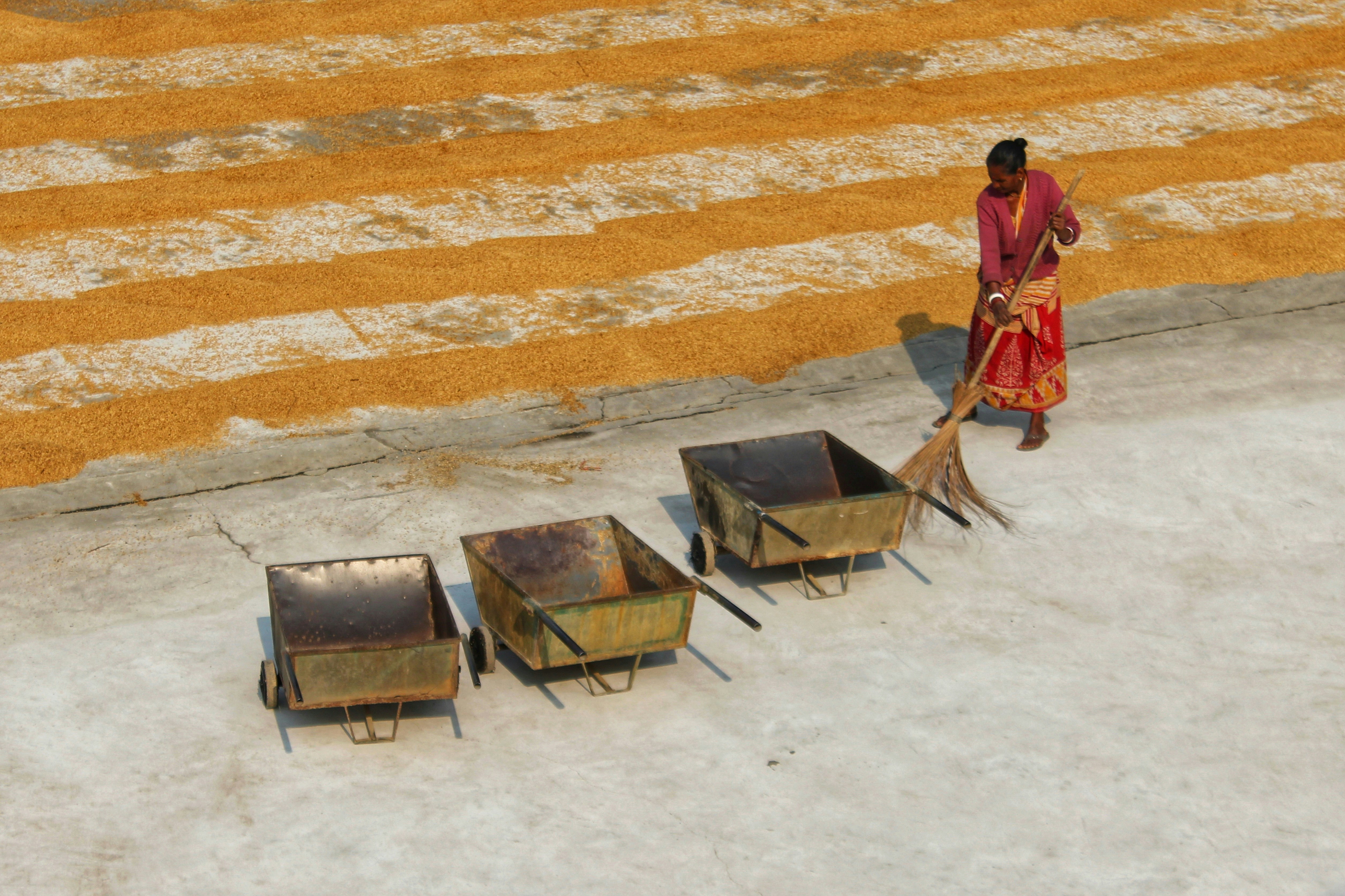 Photo by dibakar16roy