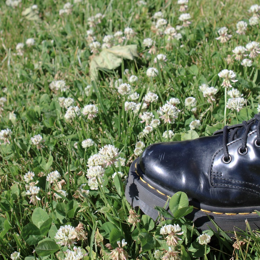 a black shoe on a flowery plant