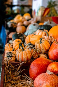 a basket of pumpkins