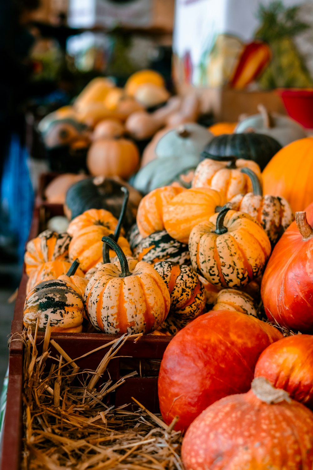 a basket of pumpkins