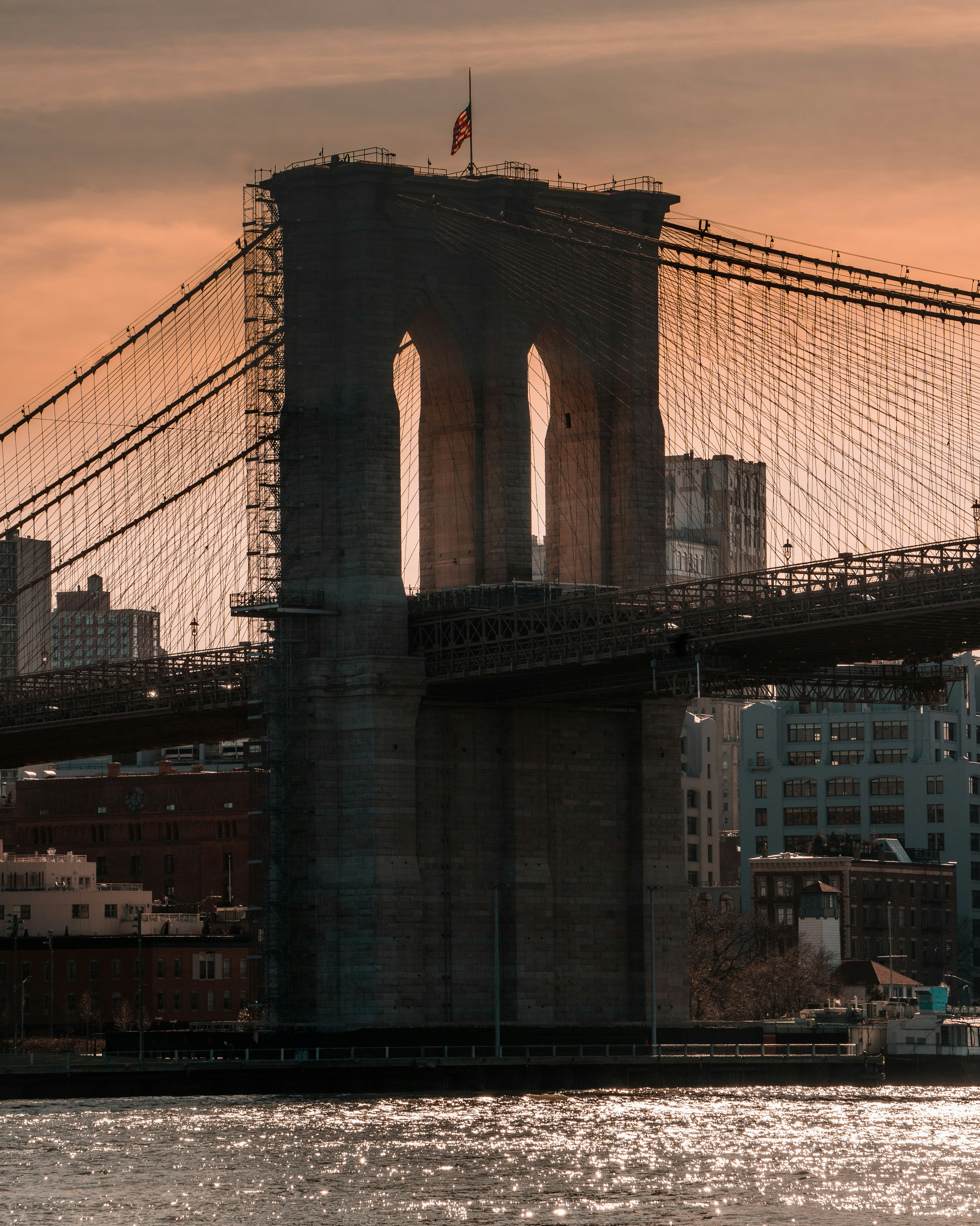 Photo by stevecancel