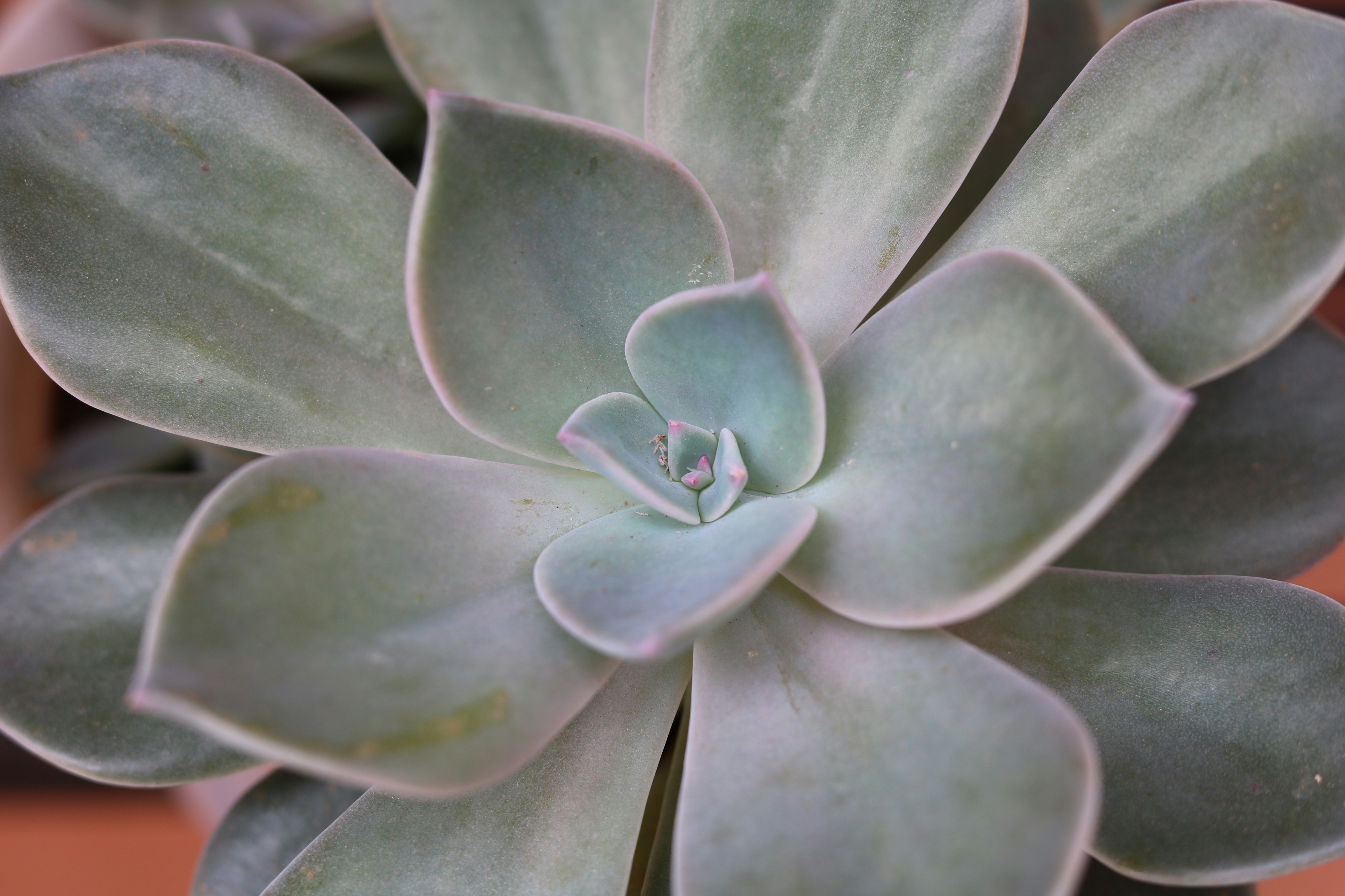 Photo by free_indeed_john8_36