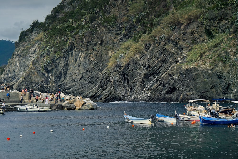 boats on the water