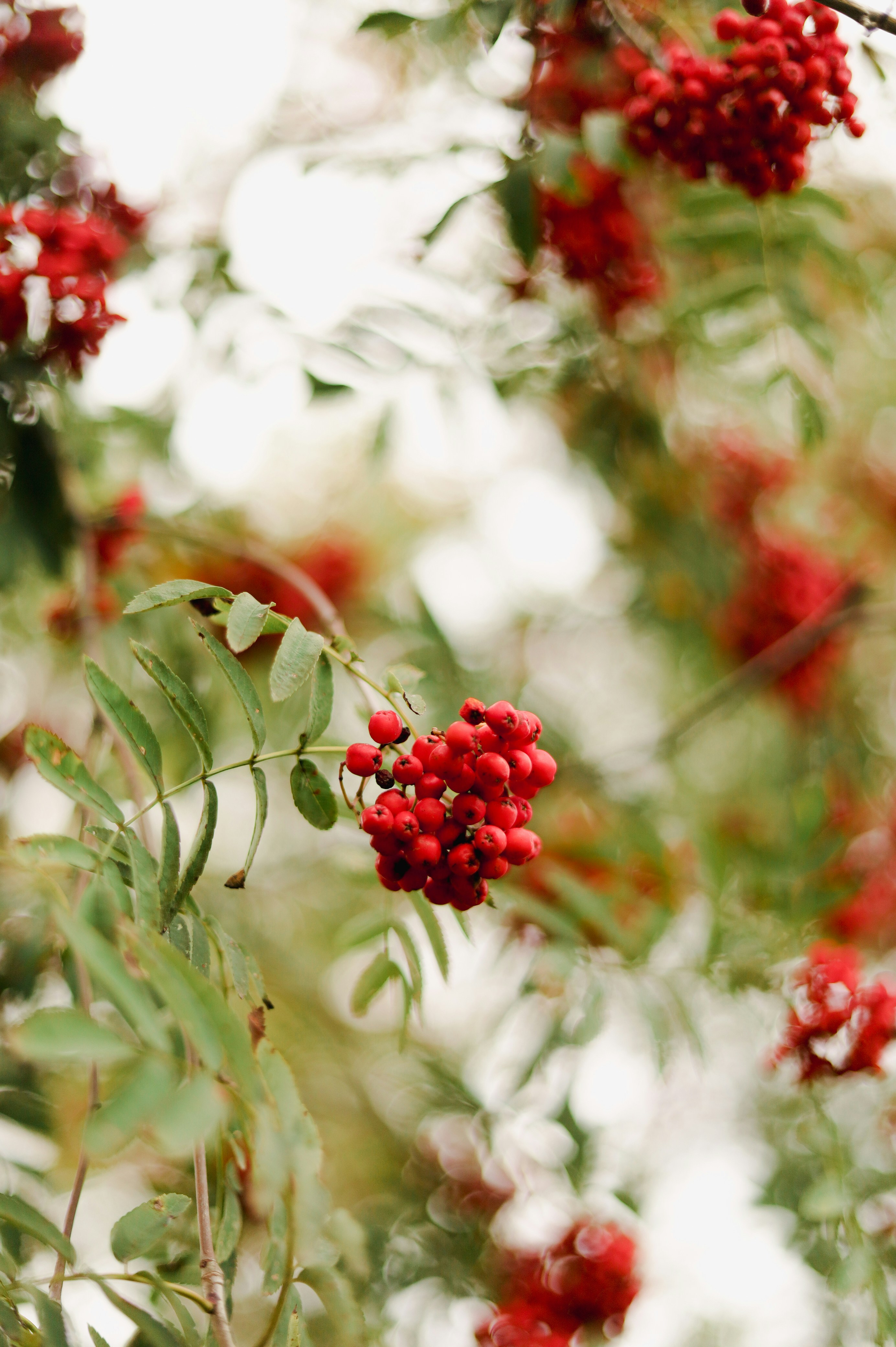 Photo by filipchenko