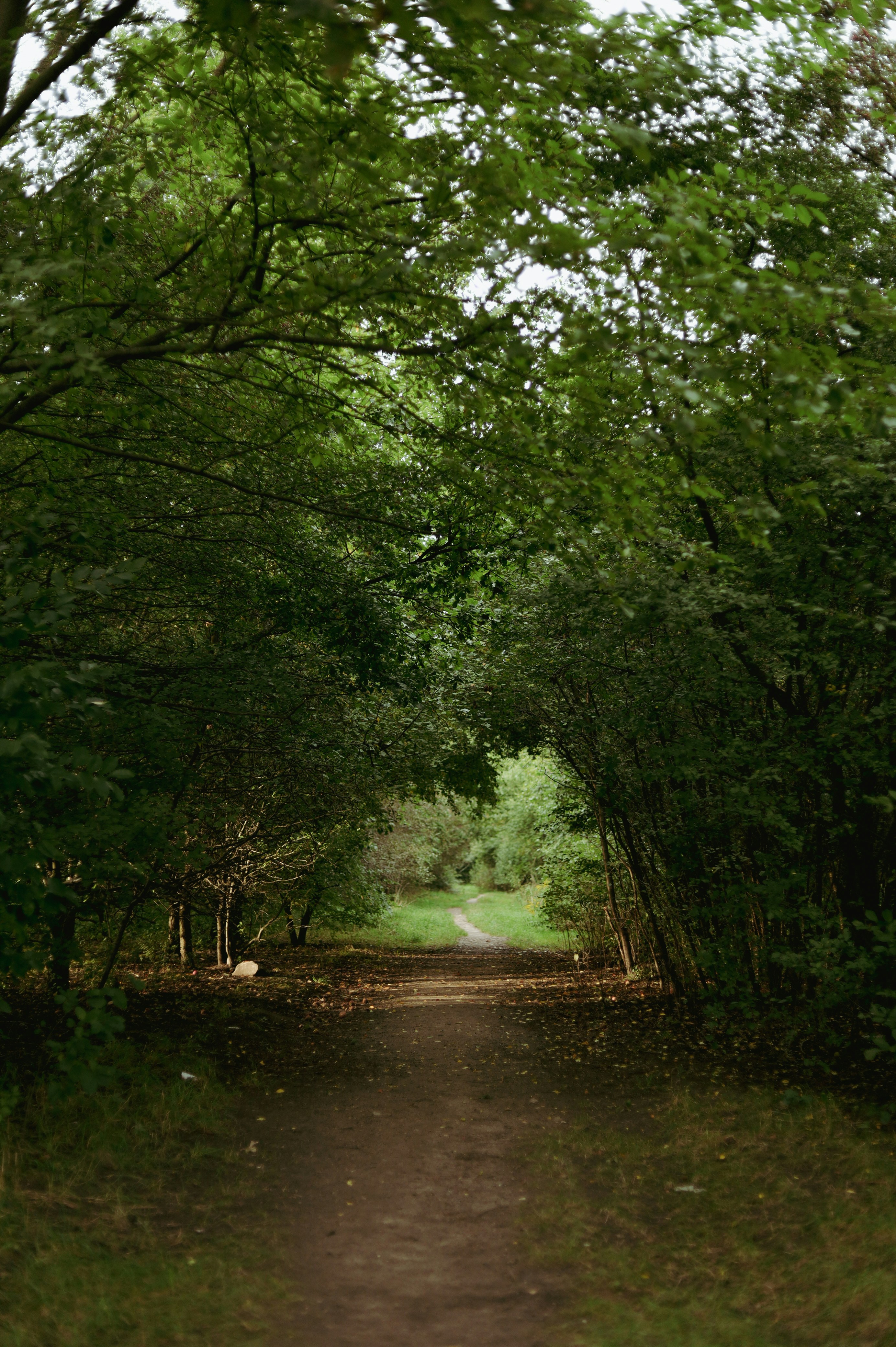 Photo by filipchenko