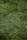 Lush, dense green grass covering the ground with blades neatly lying in a uniform pattern.