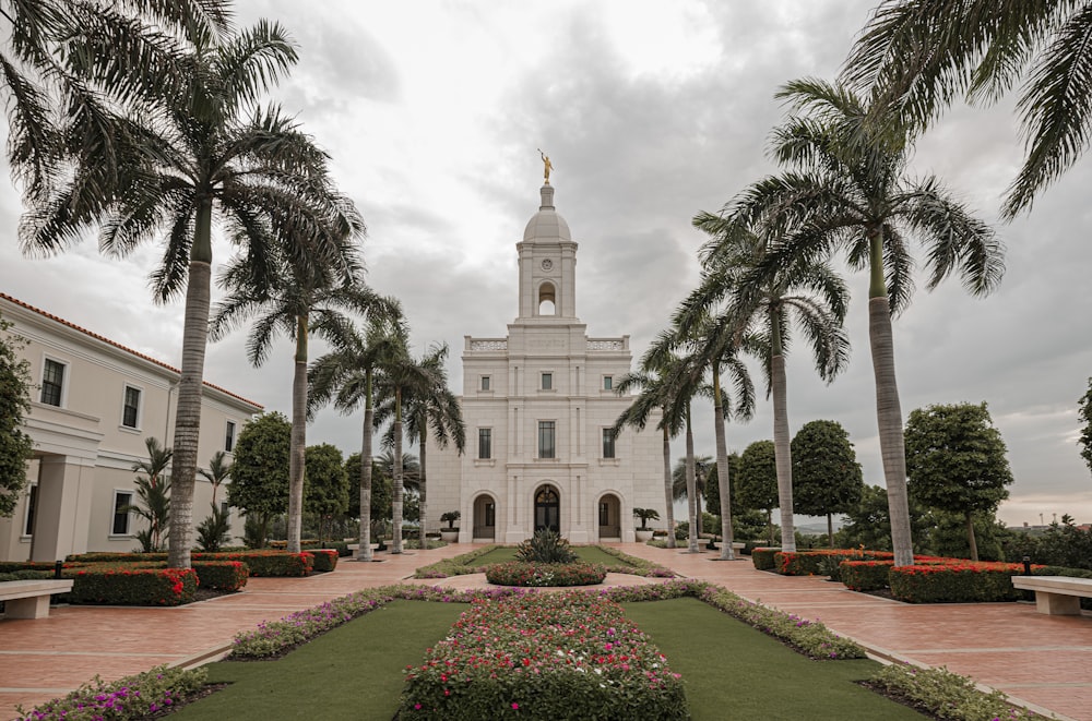 a white building with palm trees