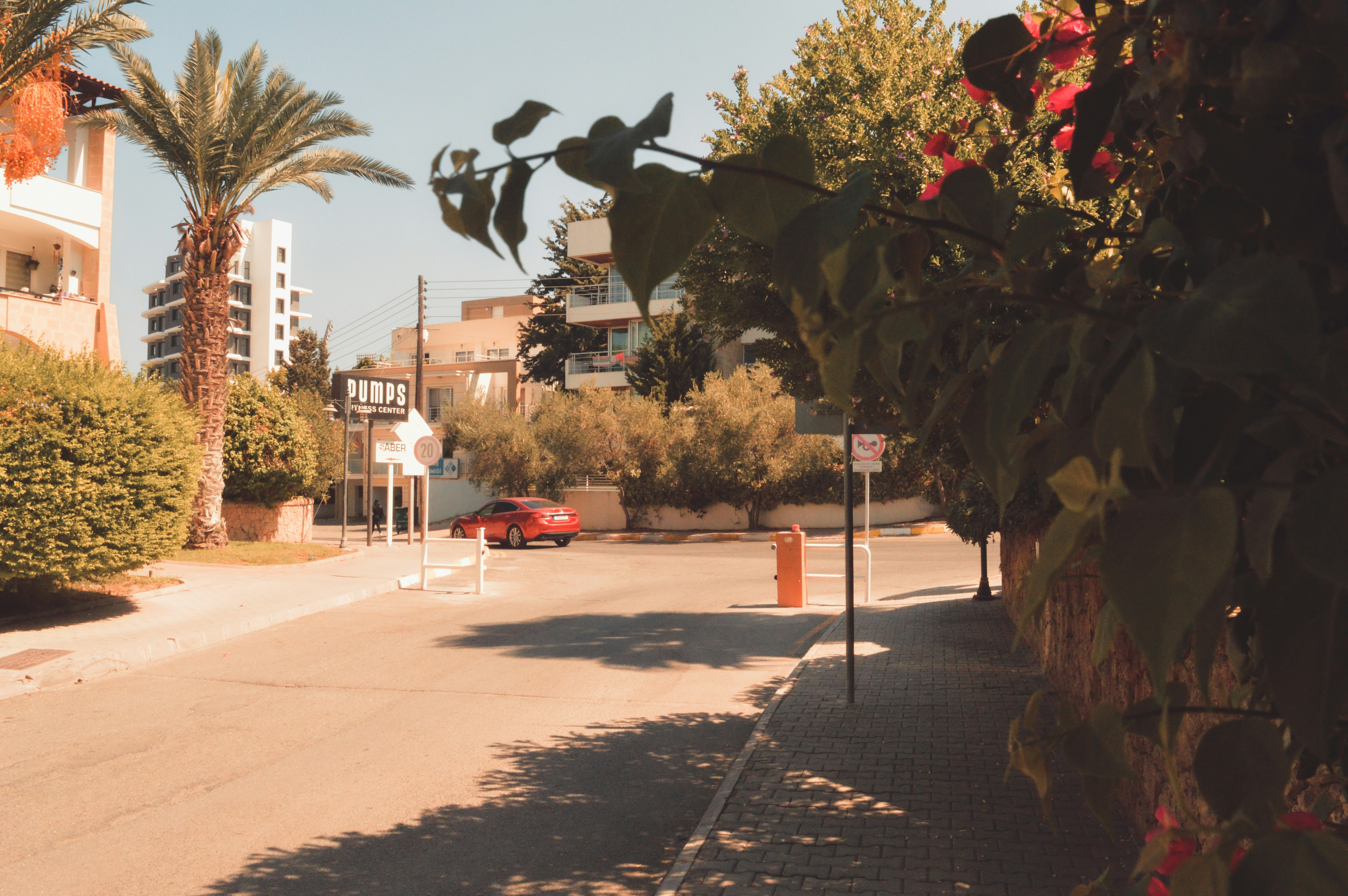 Photo by elmcvicking