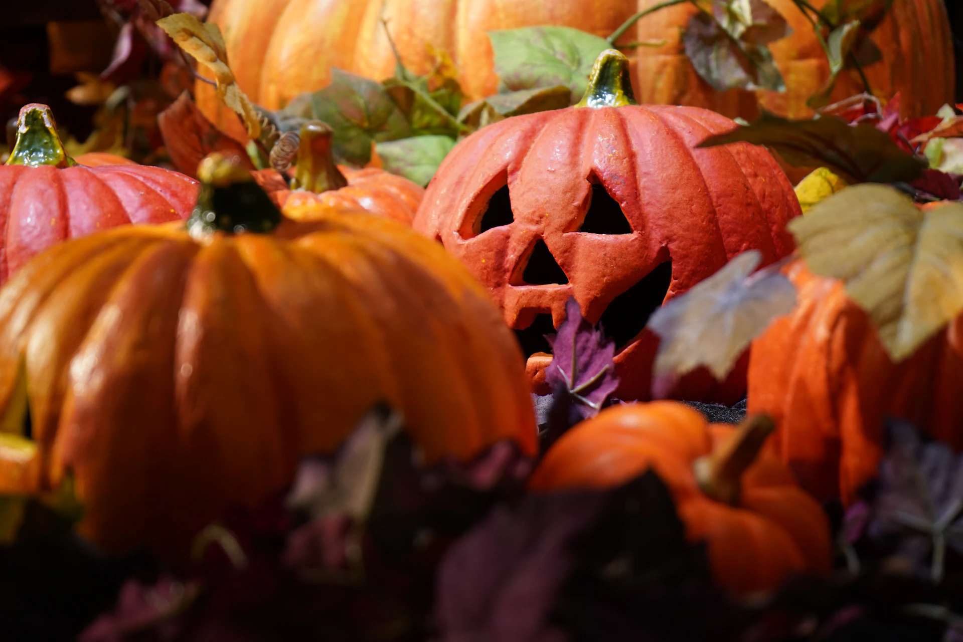 a group of pumpkins with leaves around them