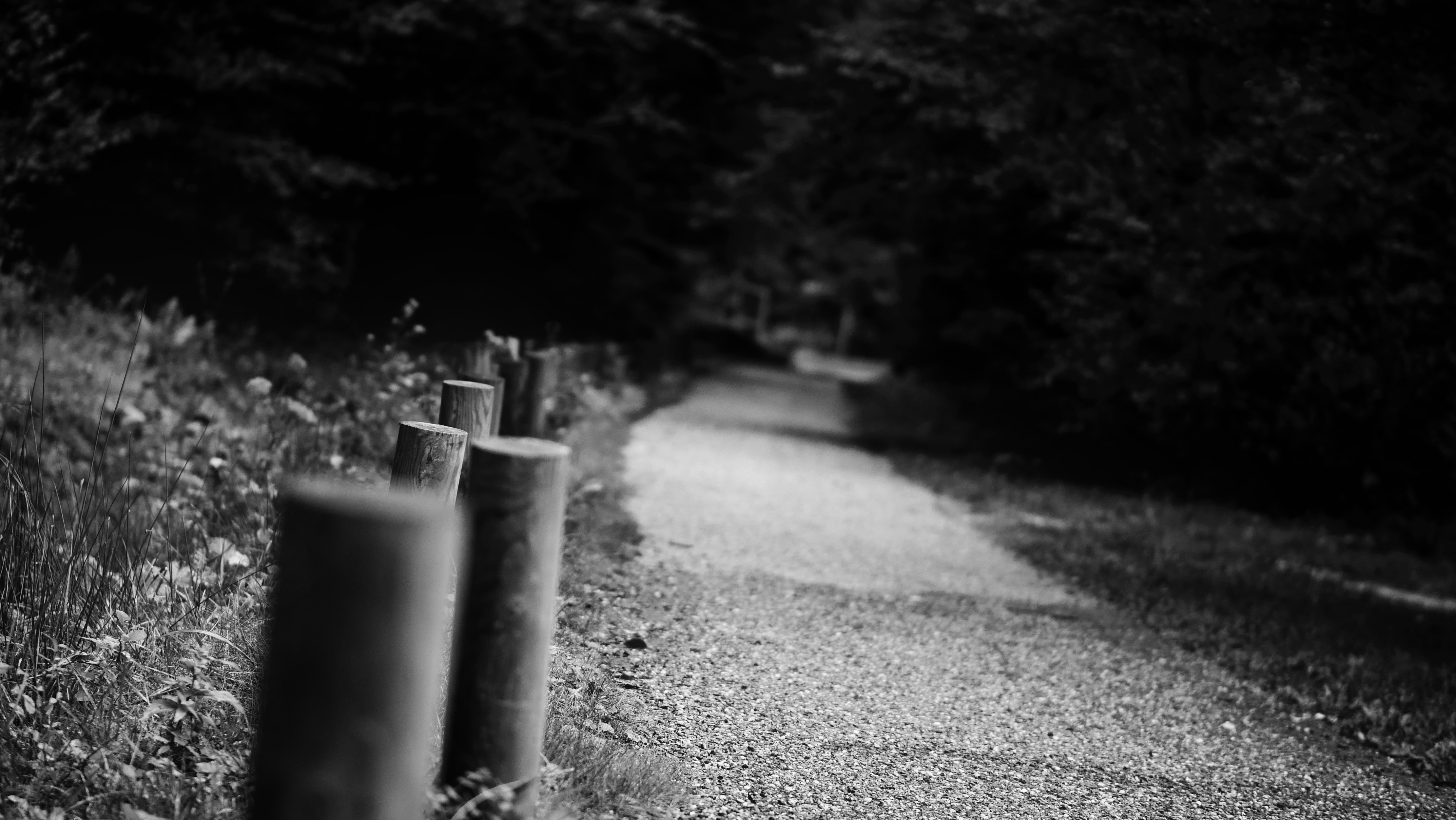 Photo by christiangafenesch