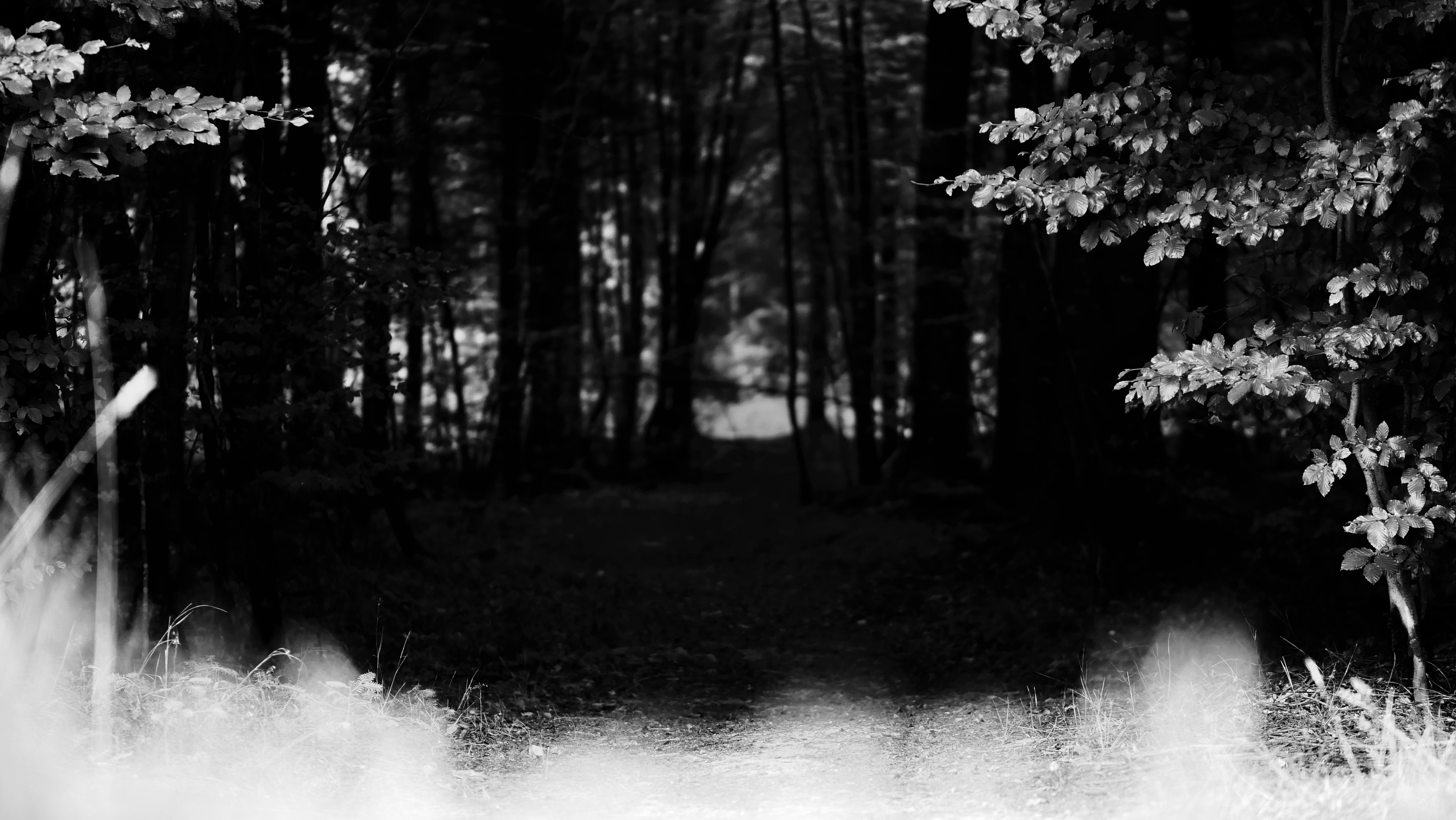 Photo by christiangafenesch