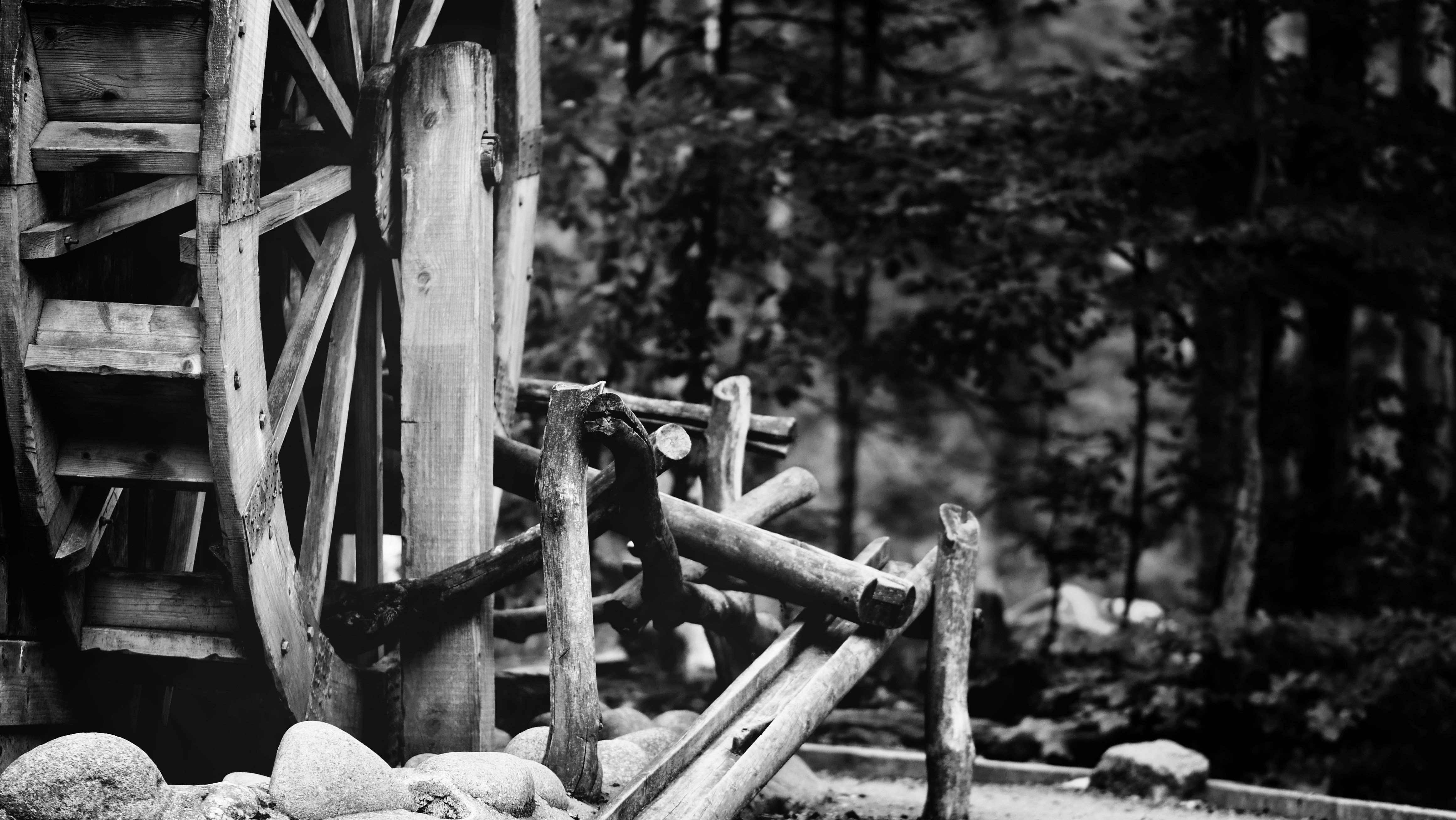 Photo by christiangafenesch