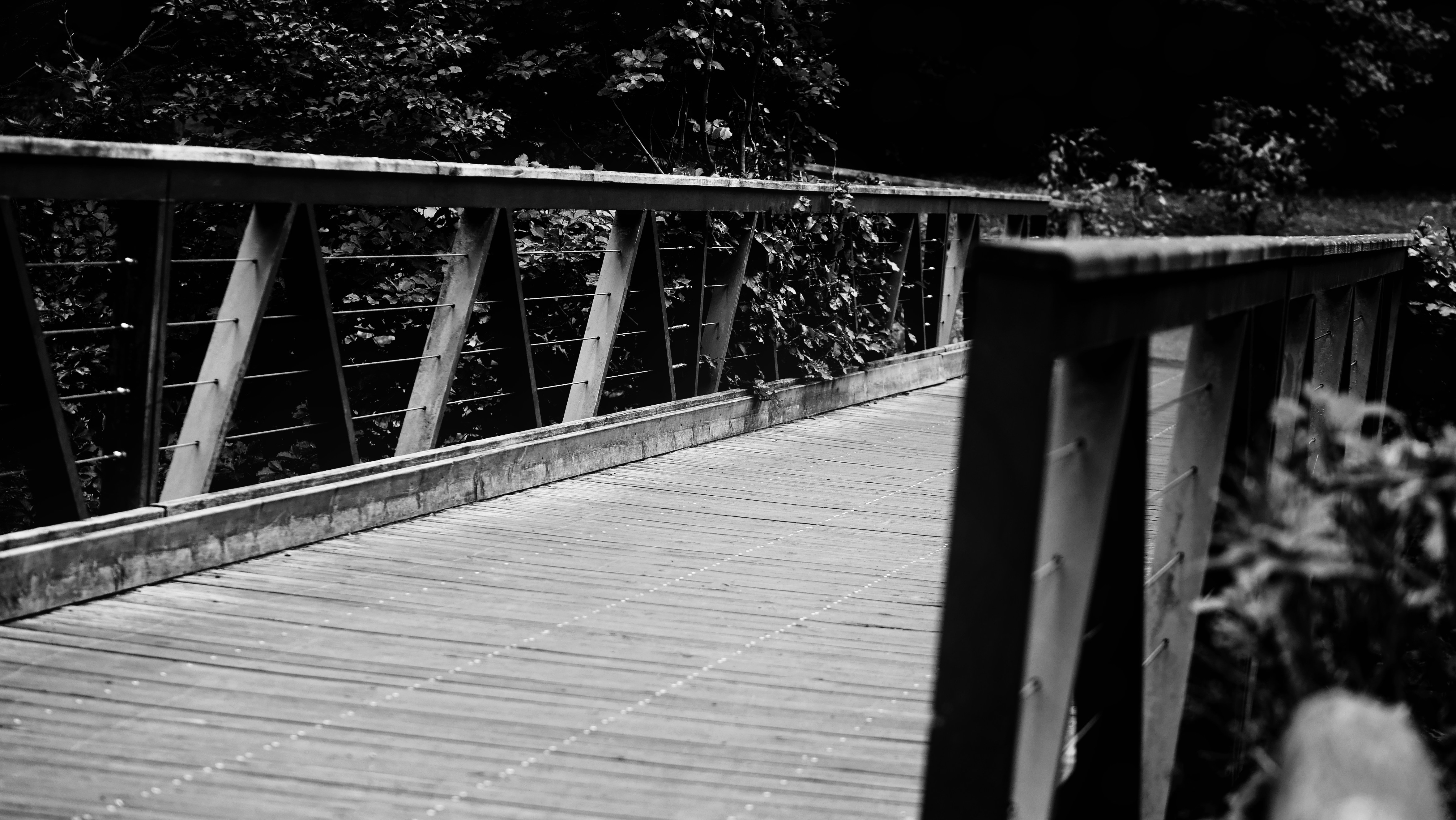 Photo by christiangafenesch