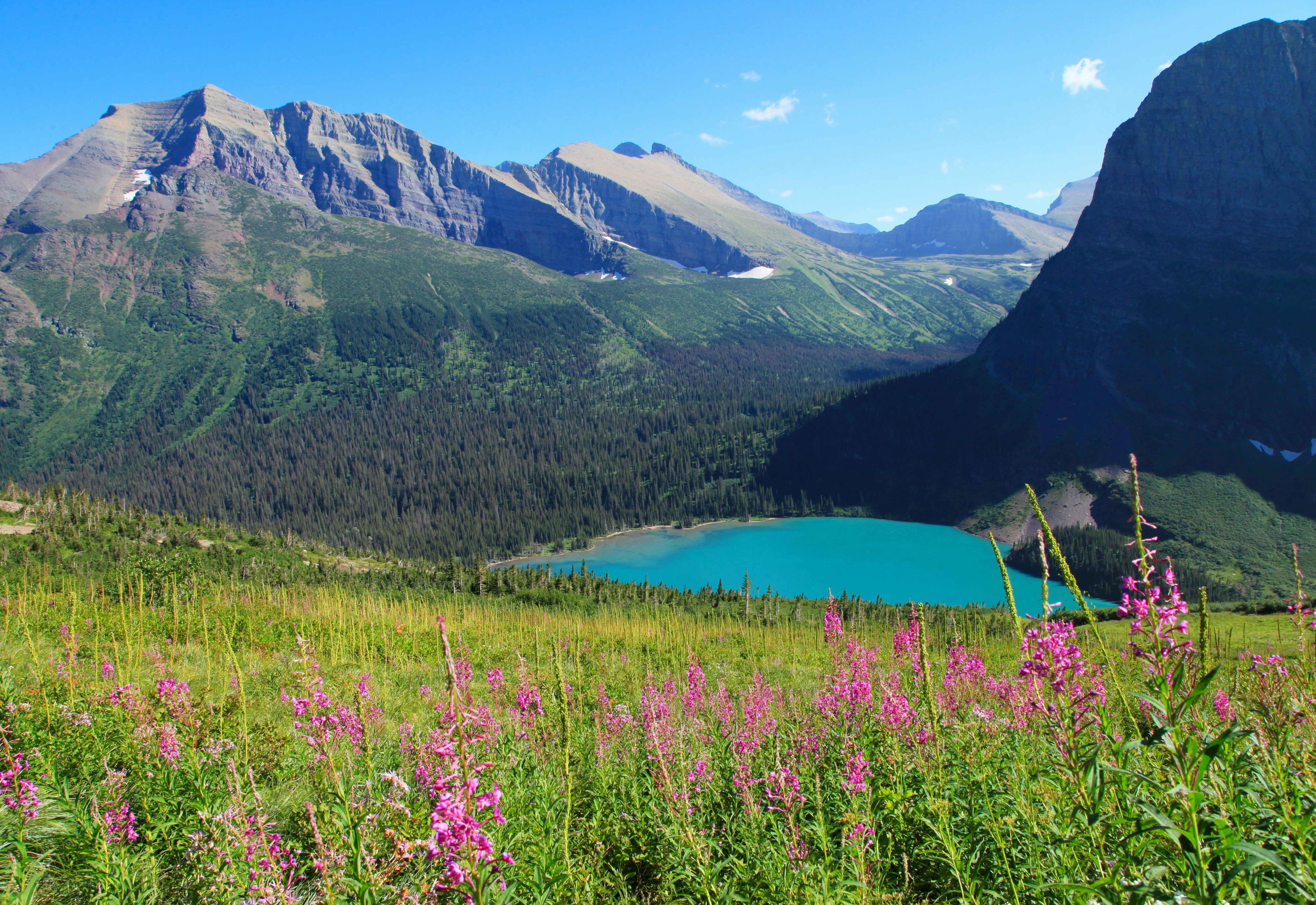 Photo by goldenplover31