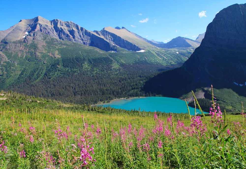 a lake surrounded by mountains