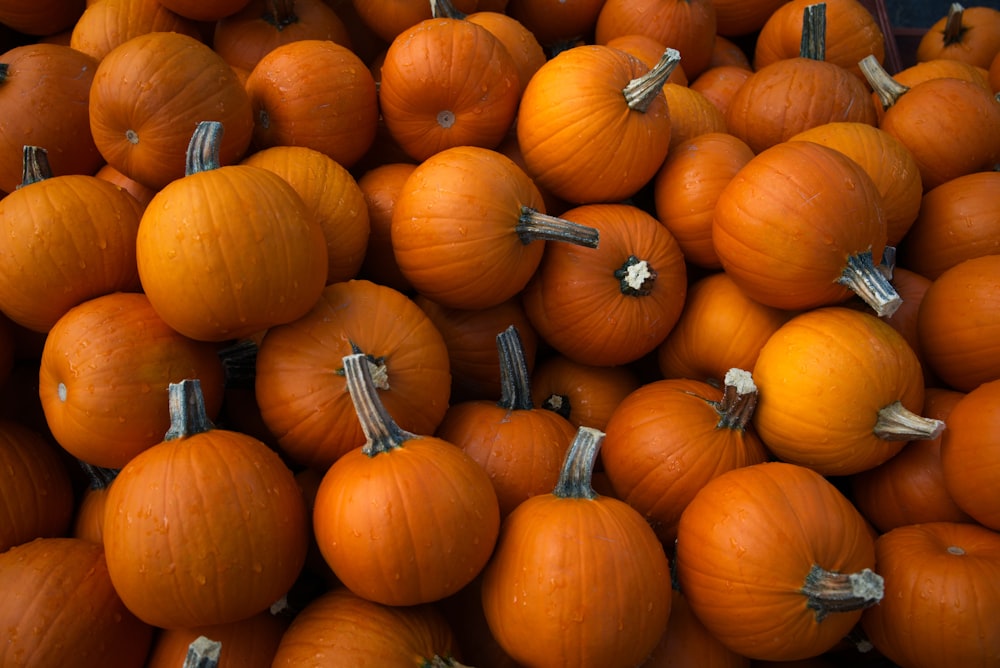 a pile of orange pumpkins
