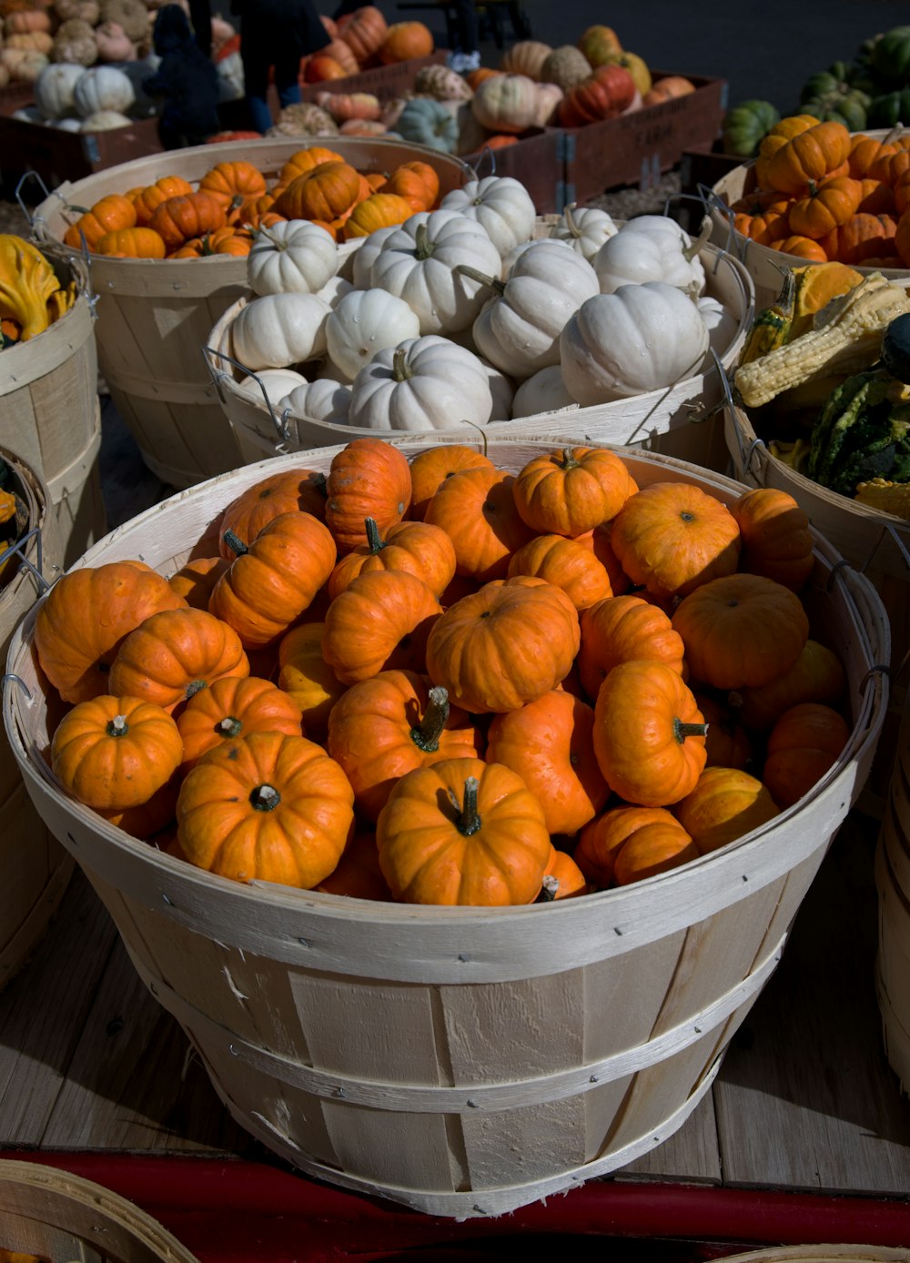 a basket of pumpkins
