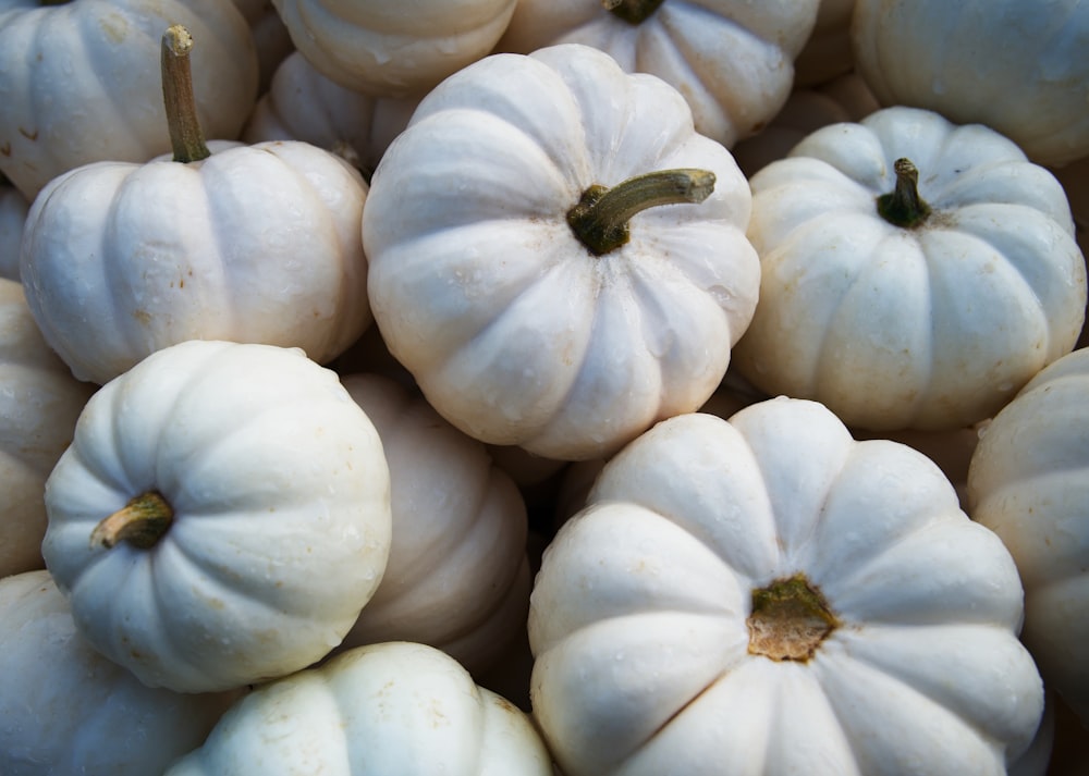 a group of white and black onions