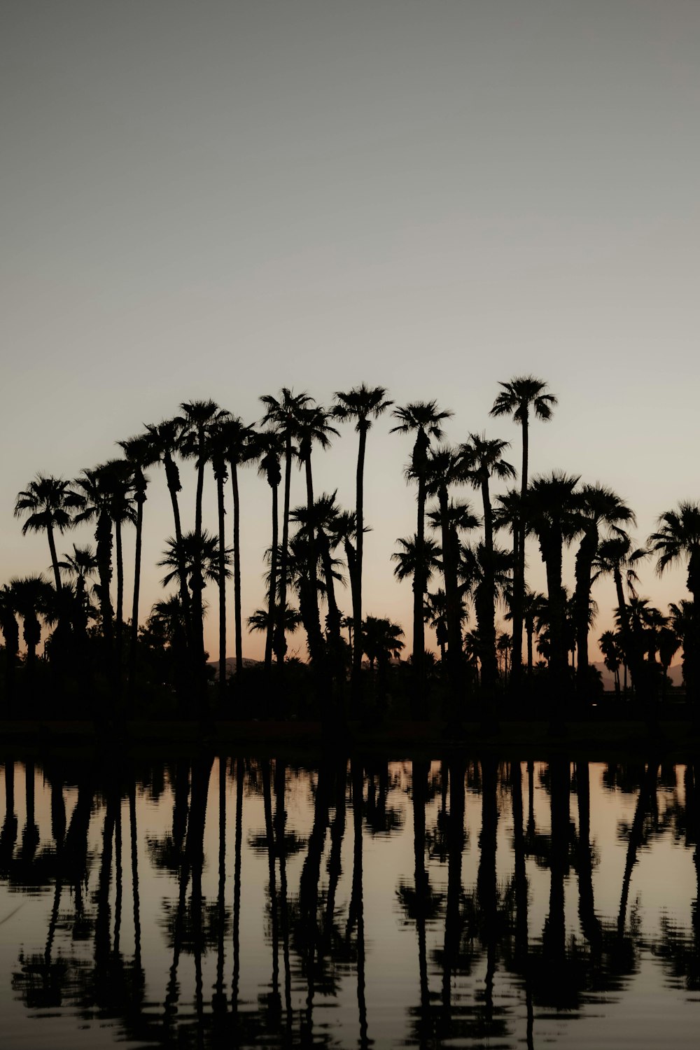 a body of water with trees around it