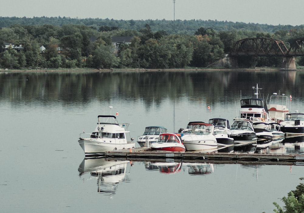 boats parked on the water