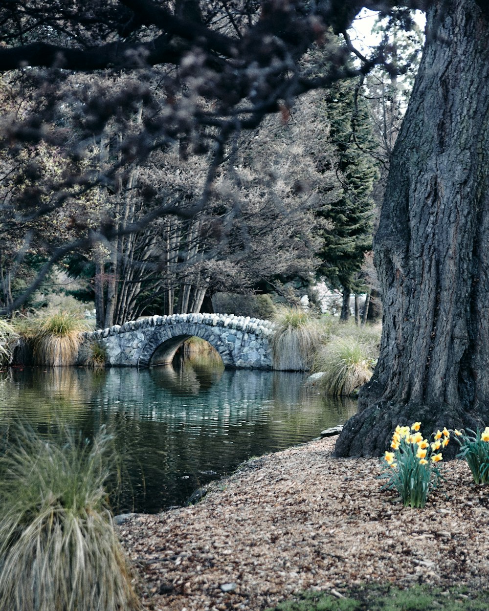 a stone bridge over a river